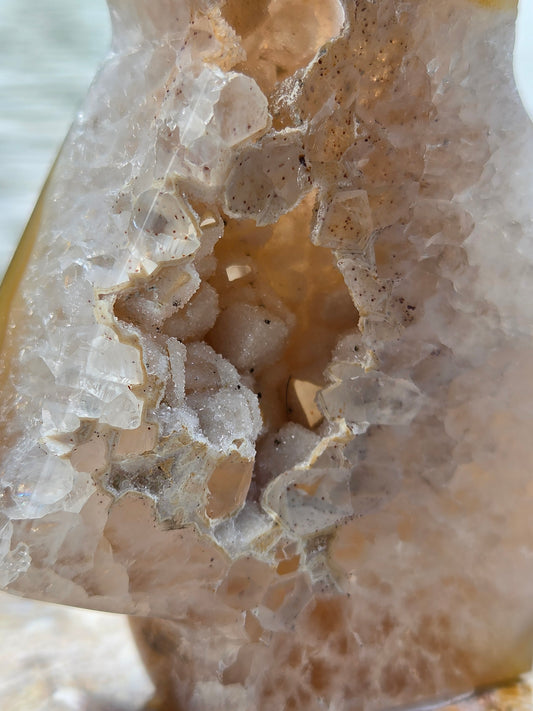 Druzy Agate Tree | Polished Agate Crystal with Druzy Pocket