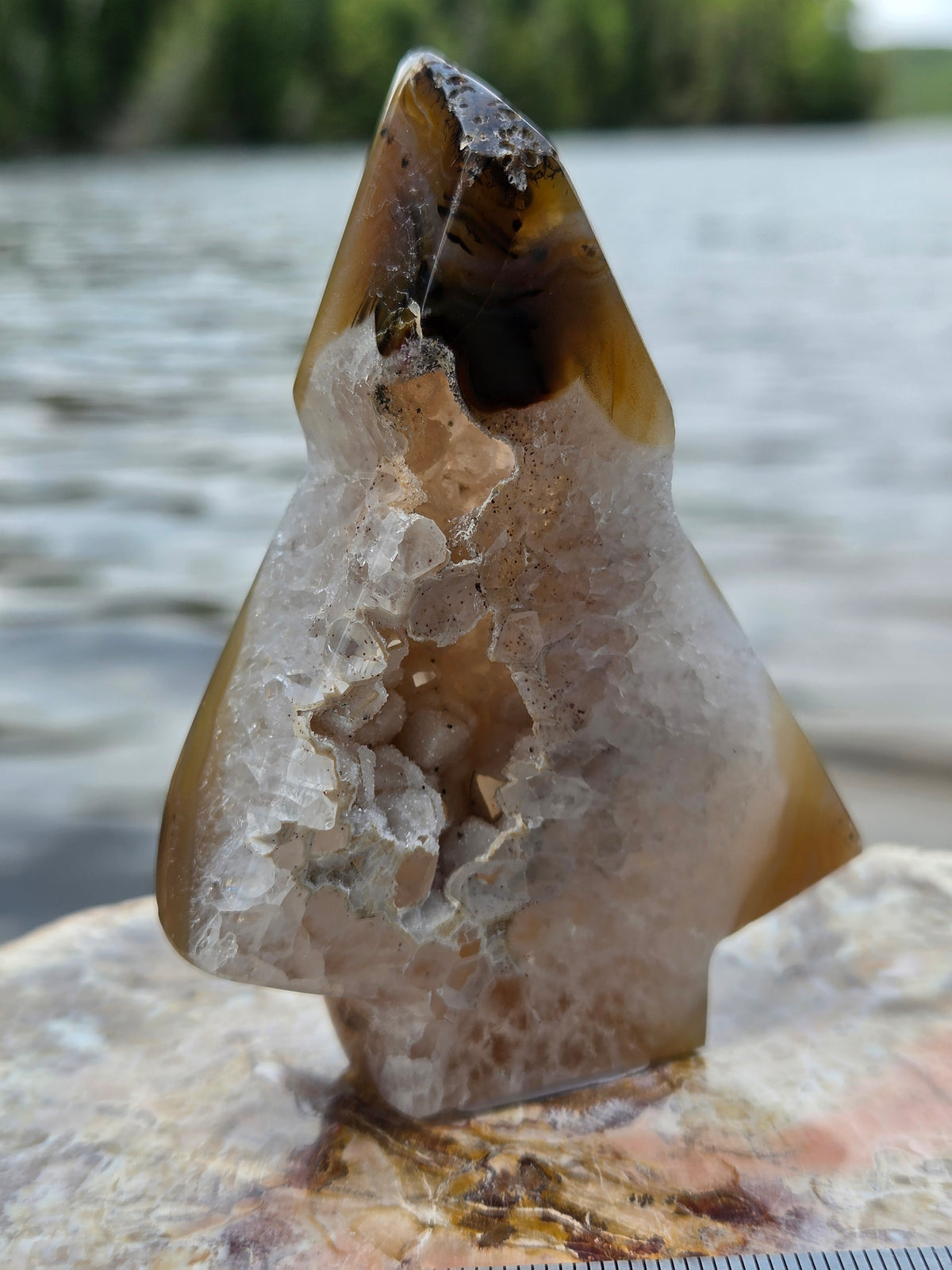 Druzy Agate Tree | Polished Agate Crystal with Druzy Pocket