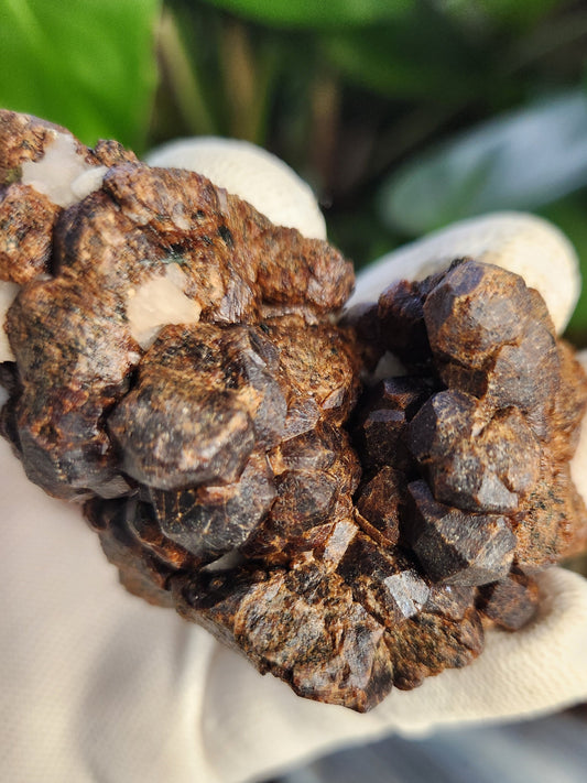 Natural Garnet on Matrix with Pyrite • Raw Almandine Garnet Cluster • Collector Mineral Specimen • Healing & Grounding Root Chakra Stone