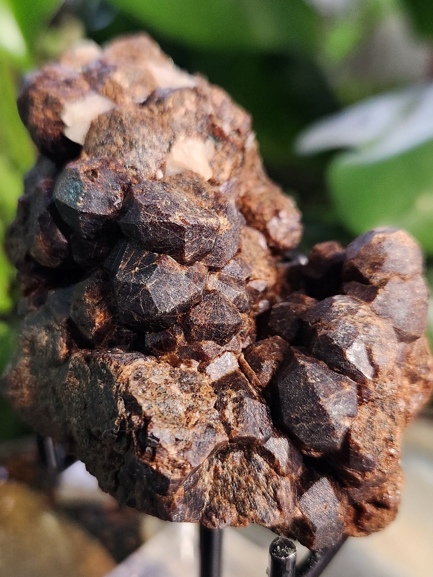 Natural Garnet on Matrix with Pyrite • Raw Almandine Garnet Cluster • Collector Mineral Specimen • Healing & Grounding Root Chakra Stone
