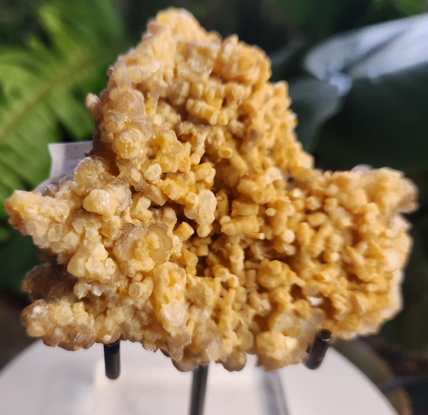 Gorgeous Natural Orange Calcite Crystal Cluster – Raw Orange Calcite on Matrix