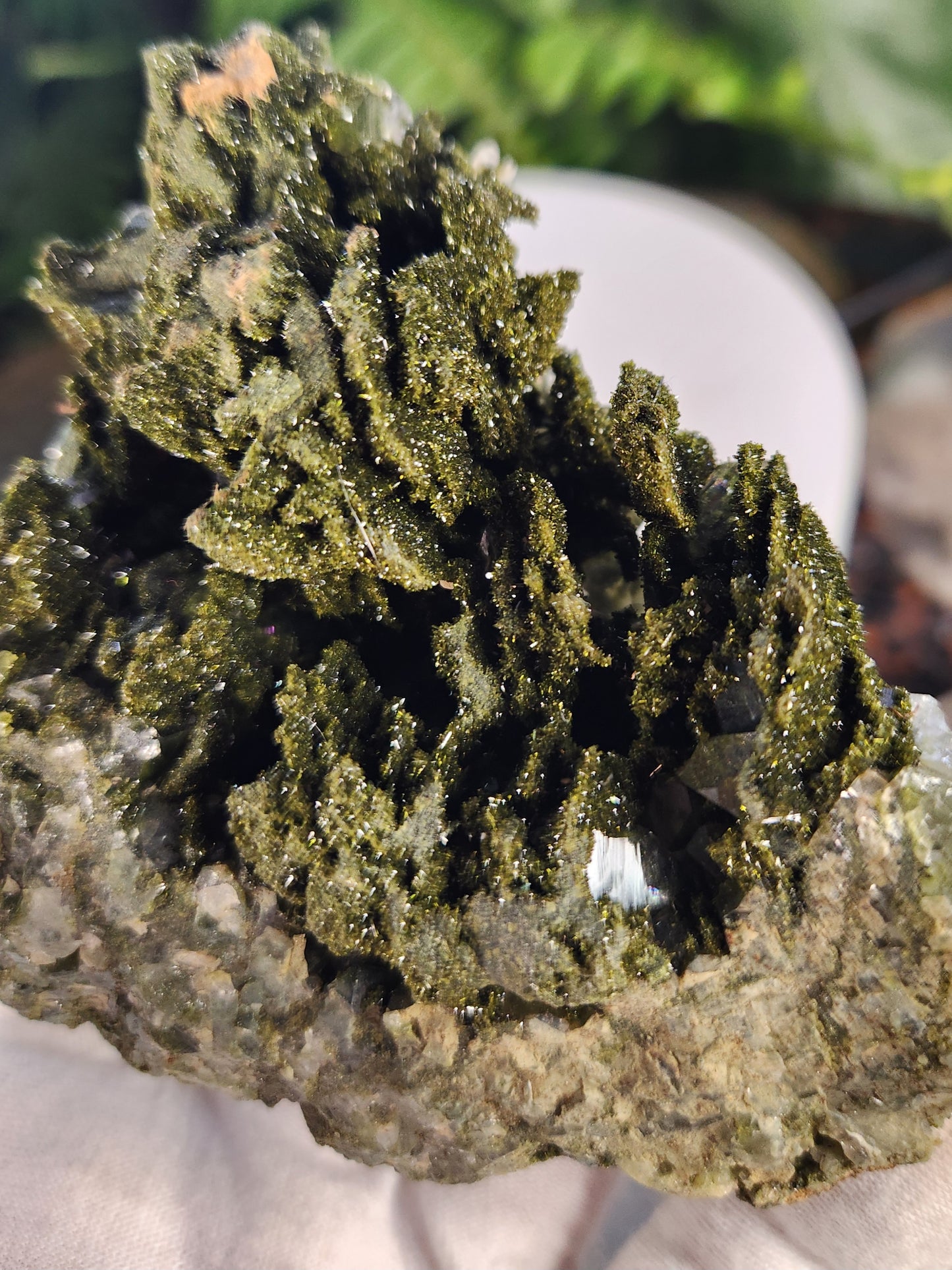 Rare Forest Epidote with Druzy Quartz – Sparkling Green Growth Crystal | Collector Mineral | Grounding & Abundance Stone