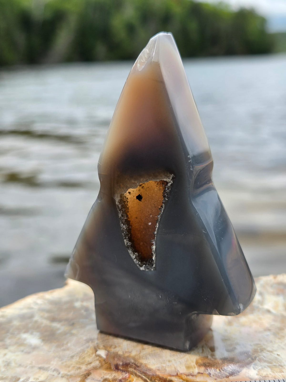 Druzy Agate Tree | Polished Agate Crystal with Druzy Pocket
