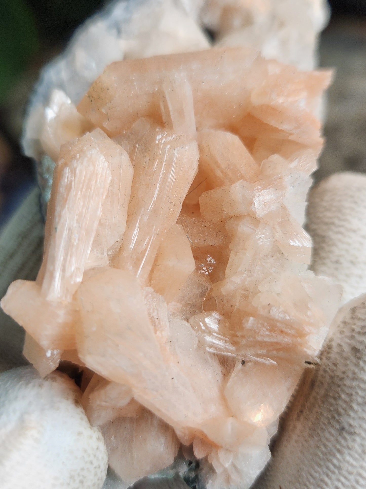 Gorgeous Peach Stilbite with Apophyllite on Matrix | Natural Zeolite Crystal Cluster | India
