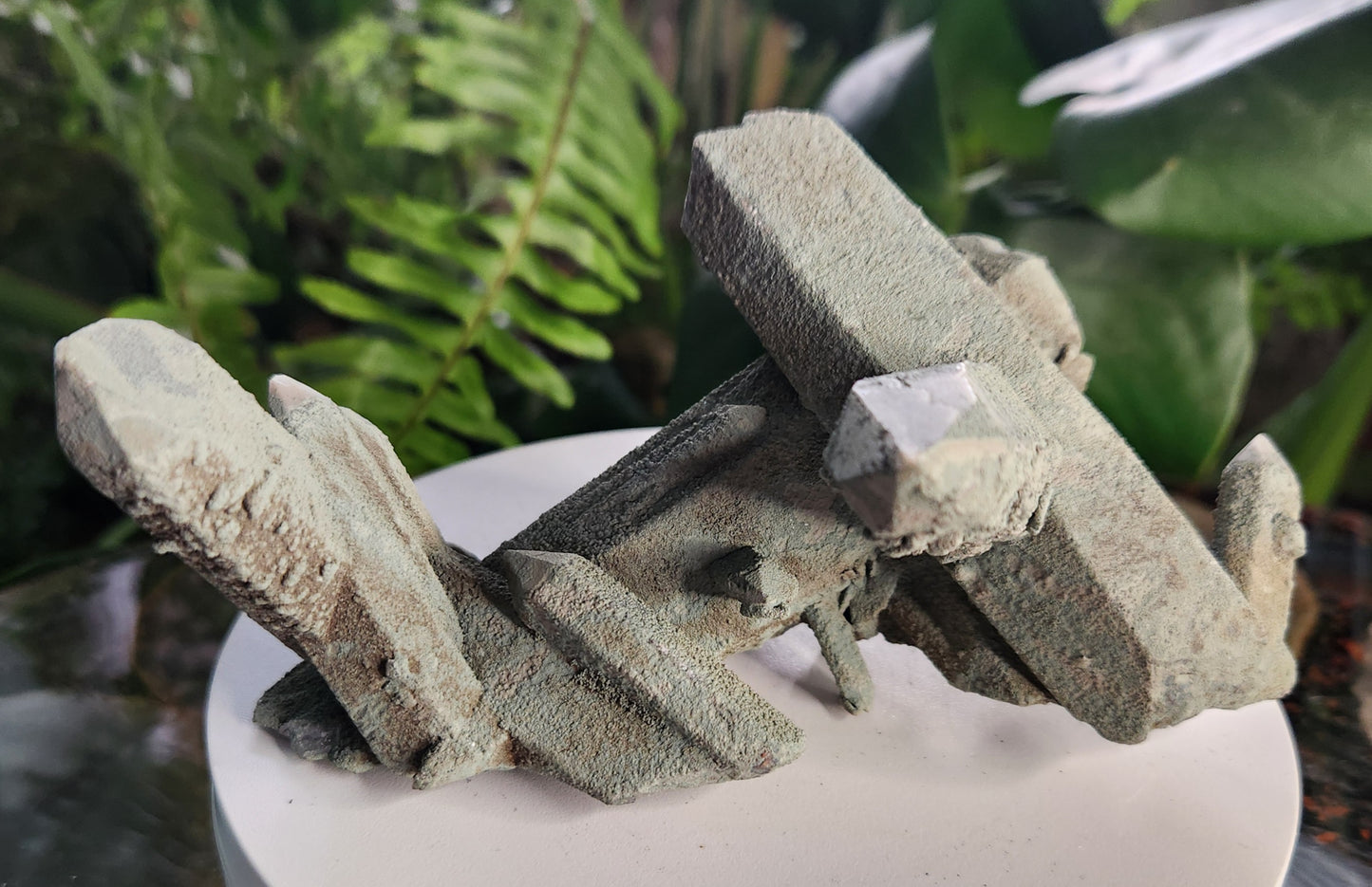 Chlorite-Coated Quartz Cluster • Rare Velvety Green Growth • Natural Formation