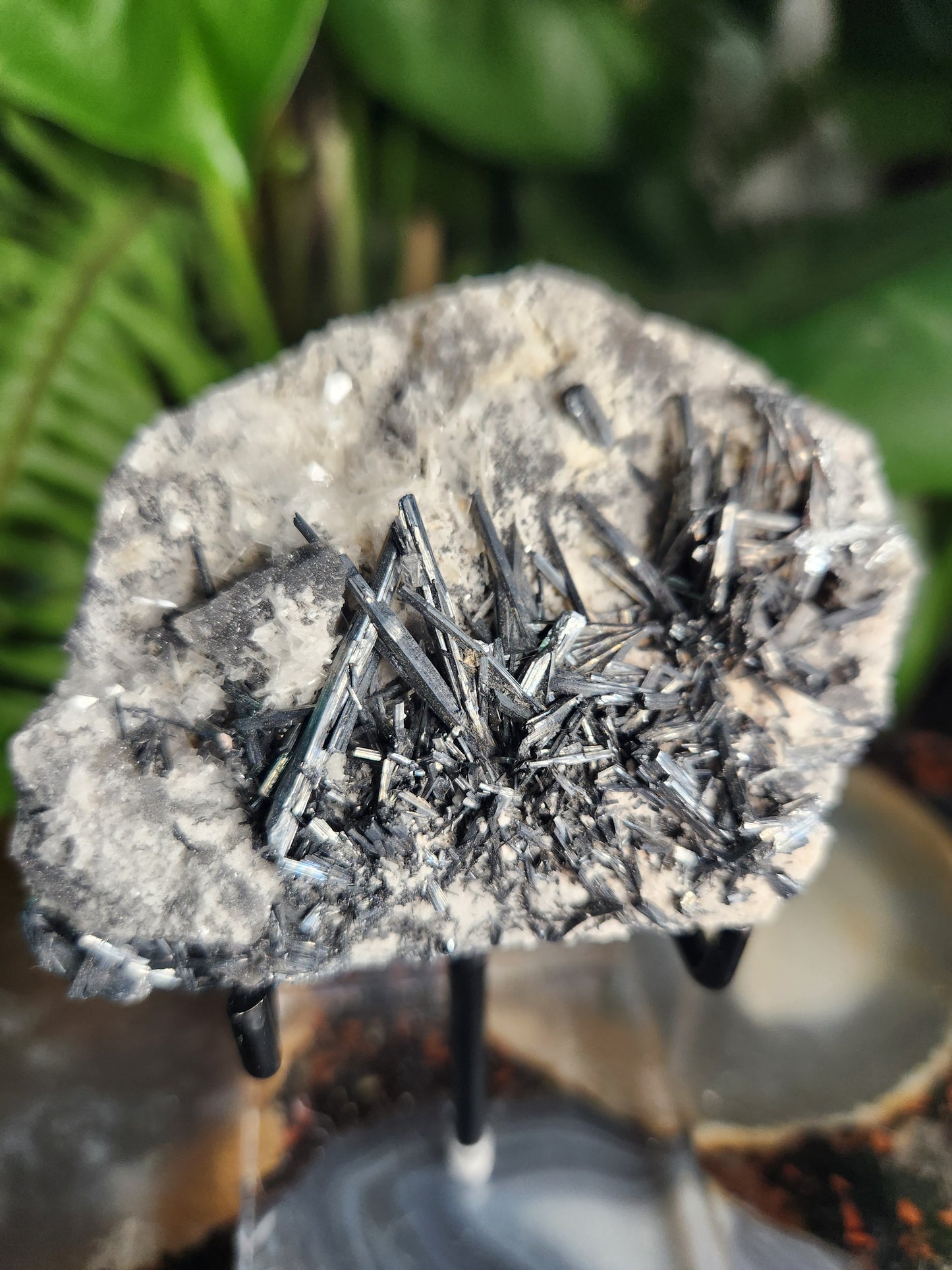 Gorgeous Raw Stibnite Crystal Cluster • Metallic Silver Needle Blades • Rare Collector Mineral Specimen • High-Shine Statement Piece
