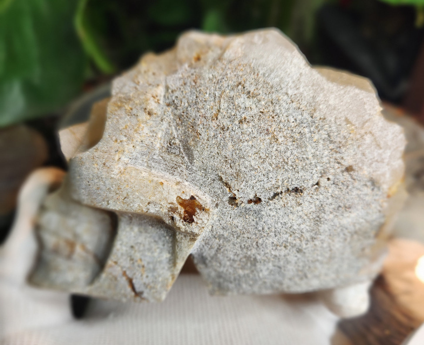 Stunning Hand-Carved Quartz Skull with Druzy & Natural Crystal Formations