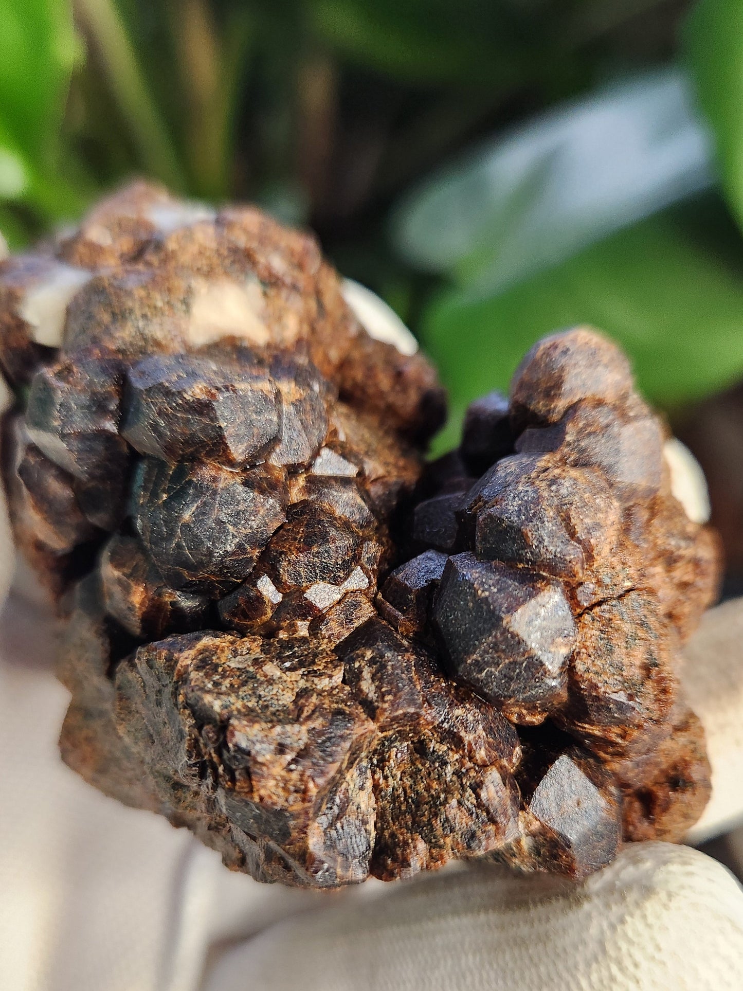 Natural Garnet on Matrix with Pyrite • Raw Almandine Garnet Cluster • Collector Mineral Specimen • Healing & Grounding Root Chakra Stone