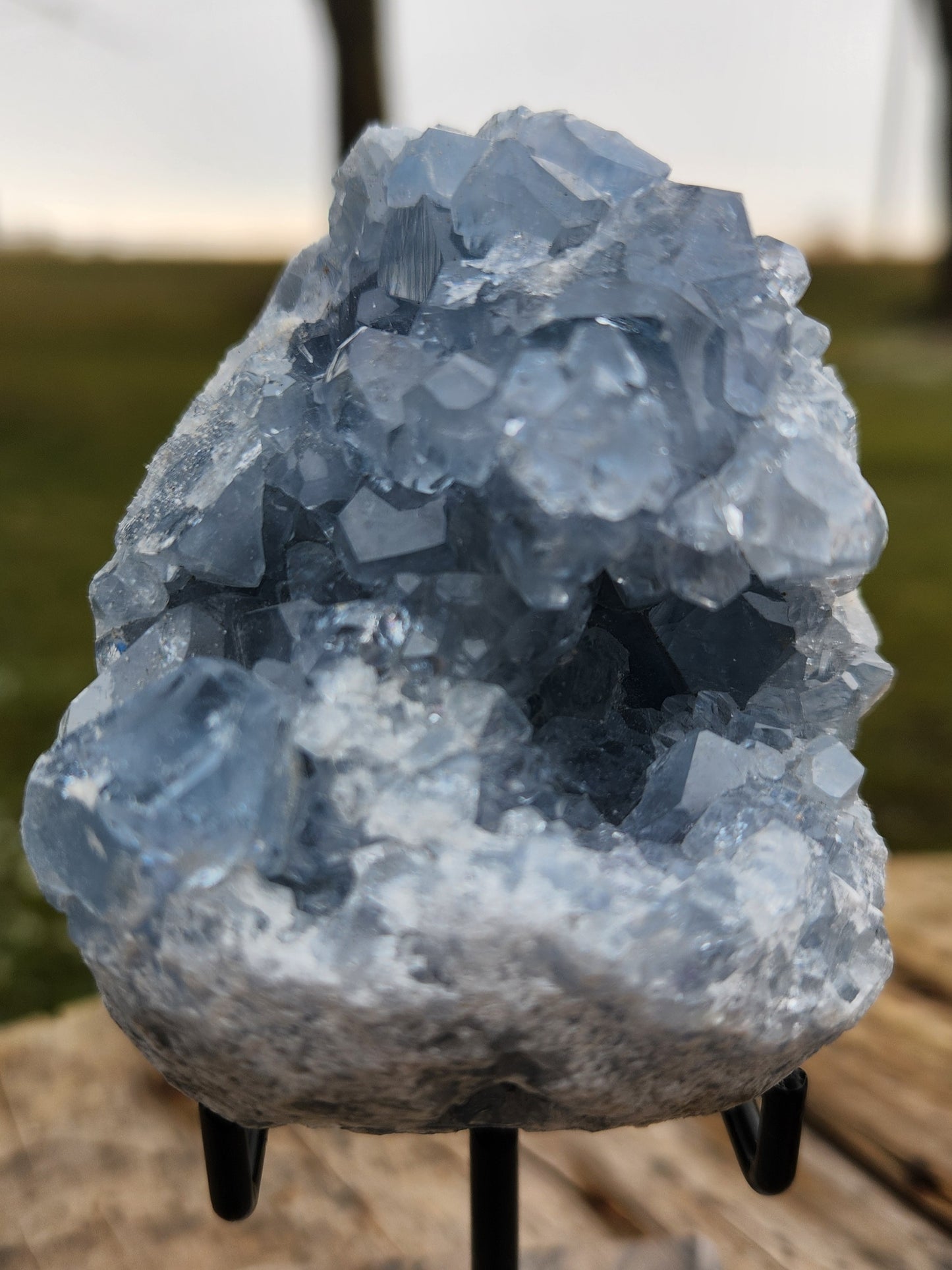 Natural Celestite Cluster – Raw Blue Celestine Crystal for Healing, Meditation & Home Décor