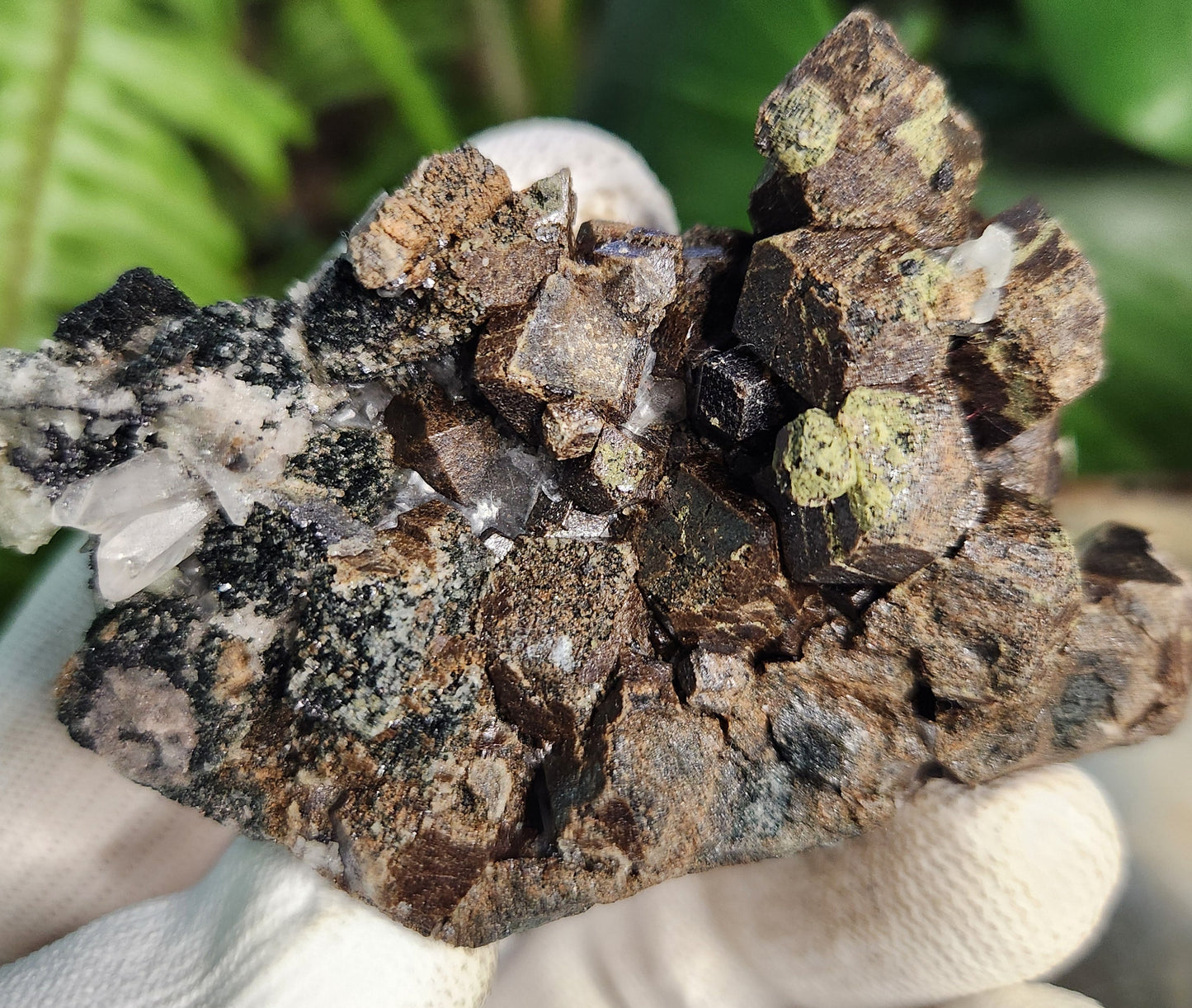 Natural Garnet on Matrix with Green Epidote • Raw Almandine Garnet Cluster • Collector Mineral Specimen • Healing & Grounding Root Chakra Stone