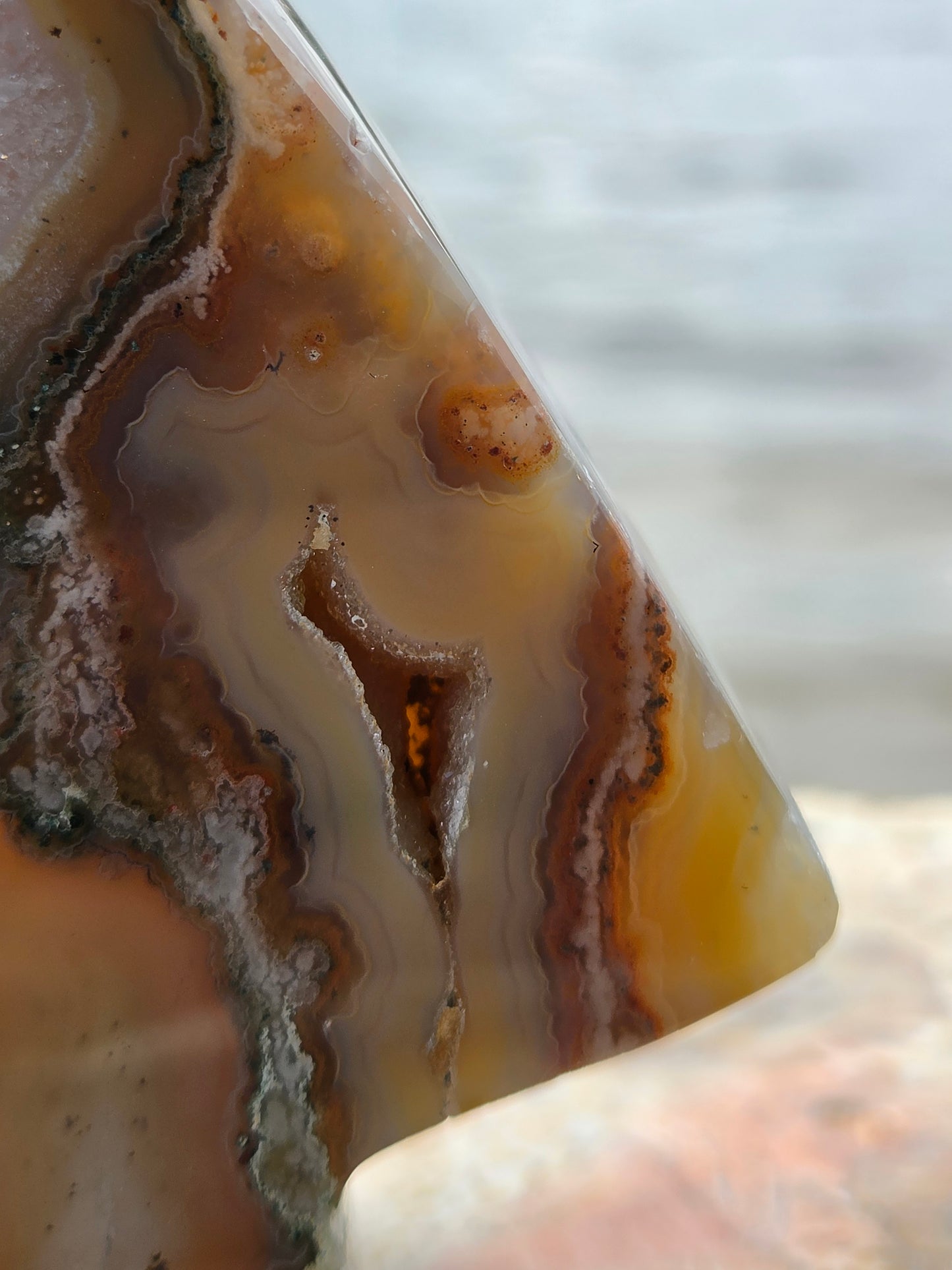 Druzy Agate Tree | Polished Agate Crystal with Druzy Pocket