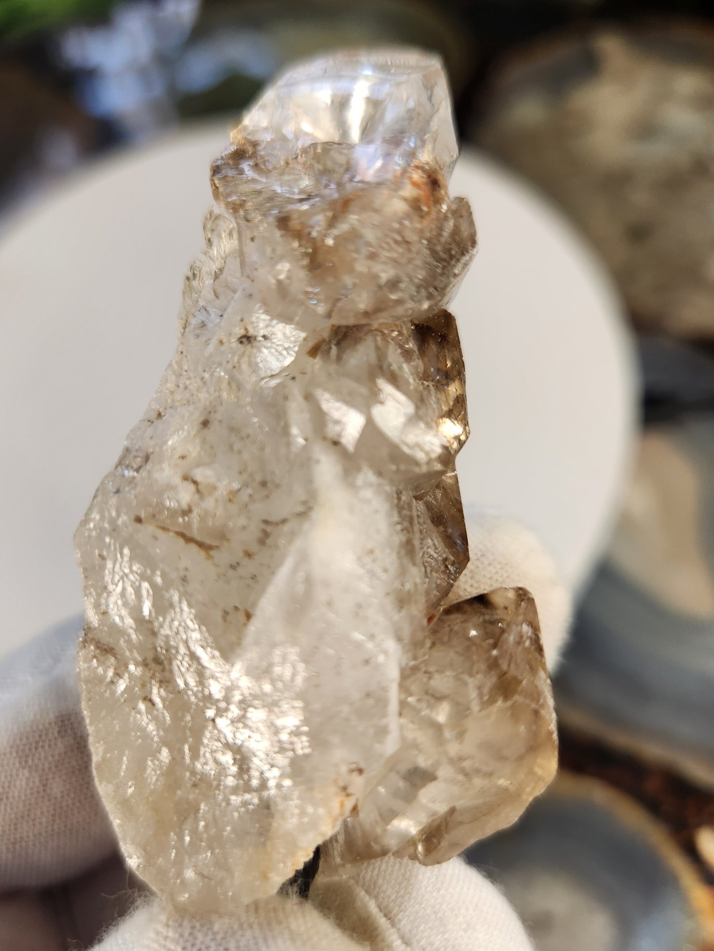 Elestial Quartz Crystal on Stand | Skeletal / Alligator Quartz | Natural Quartz Formation