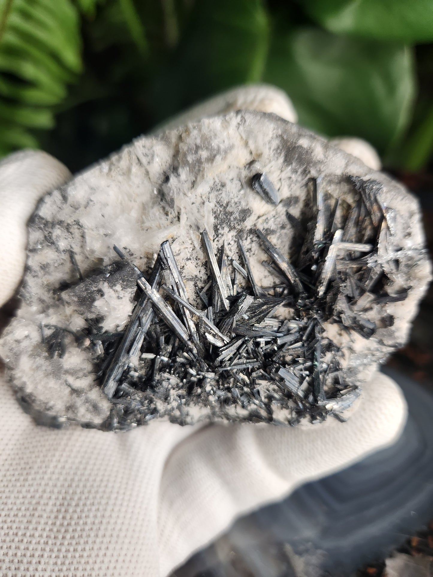 Gorgeous Raw Stibnite Crystal Cluster • Metallic Silver Needle Blades • Rare Collector Mineral Specimen • High-Shine Statement Piece