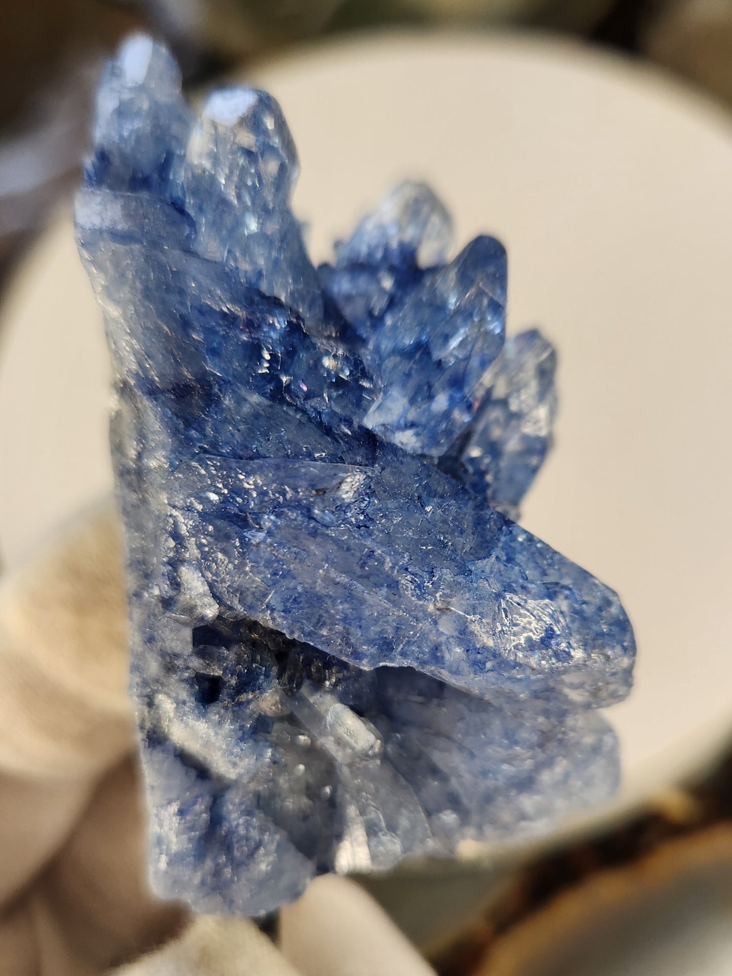 Blue Quartz Crystal Cluster | Color Enhanced Quartz | Home Décor Statement Mineral