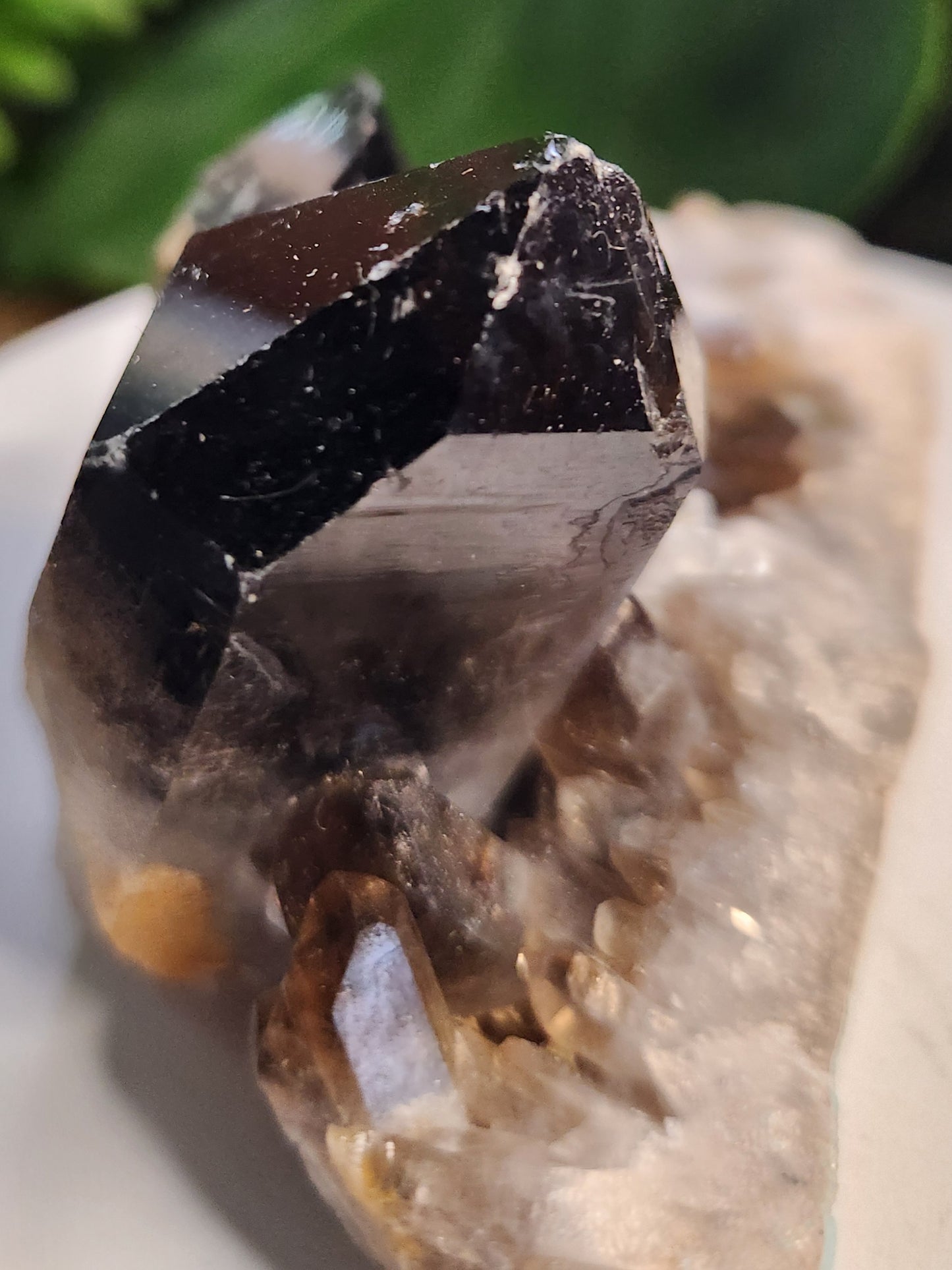 Natural Smoky / Smokey Quartz Crystal Cluster – Dark Smoky Quartz on Matrix - Brazil