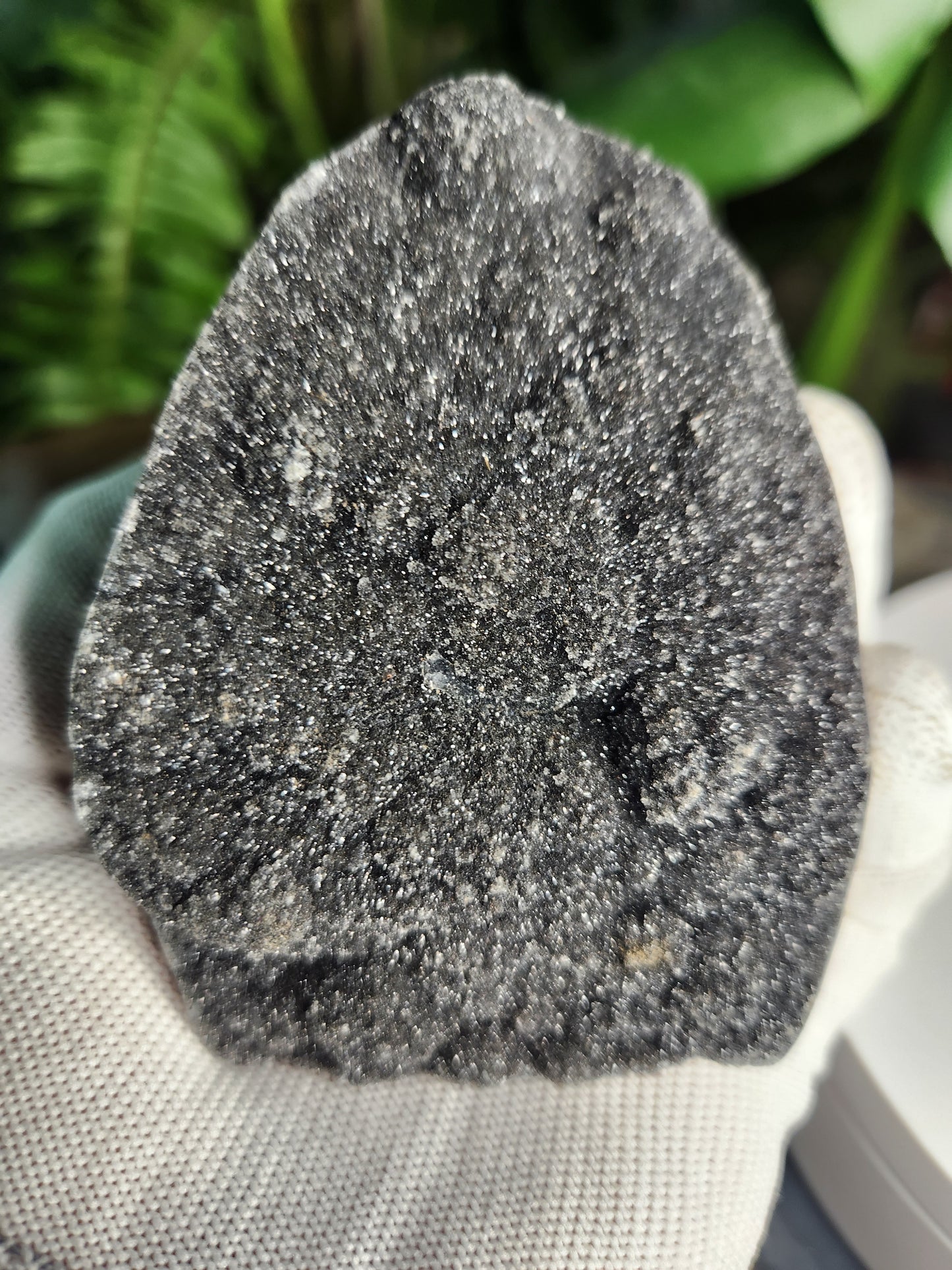 Druzy Black Amethyst Standing Freeform • Natural Dark Amethyst Cluster from Brazil • Sparkling Druzy Display Piece • Protection & Cleansing Crystal