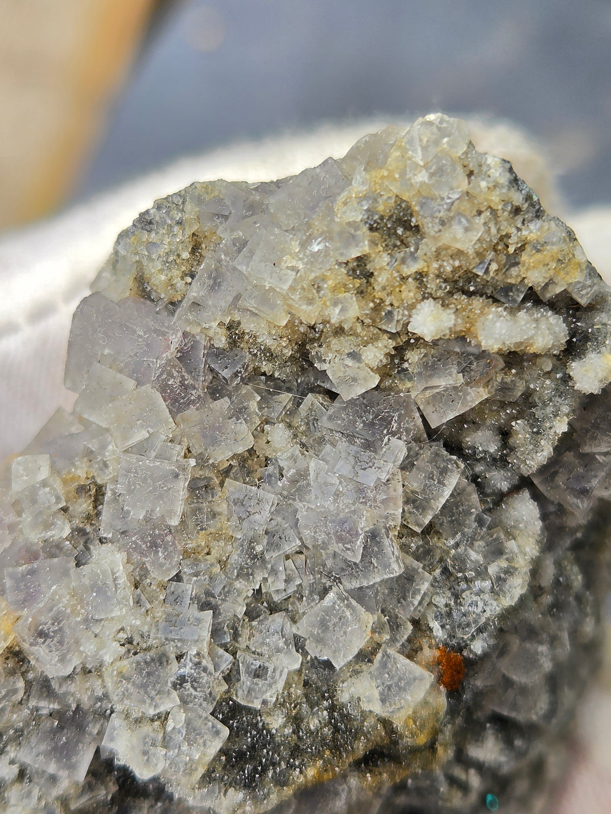 Natural Fluorite Crystal Cluster on Matrix | Raw Fluorite Mineral Specimen