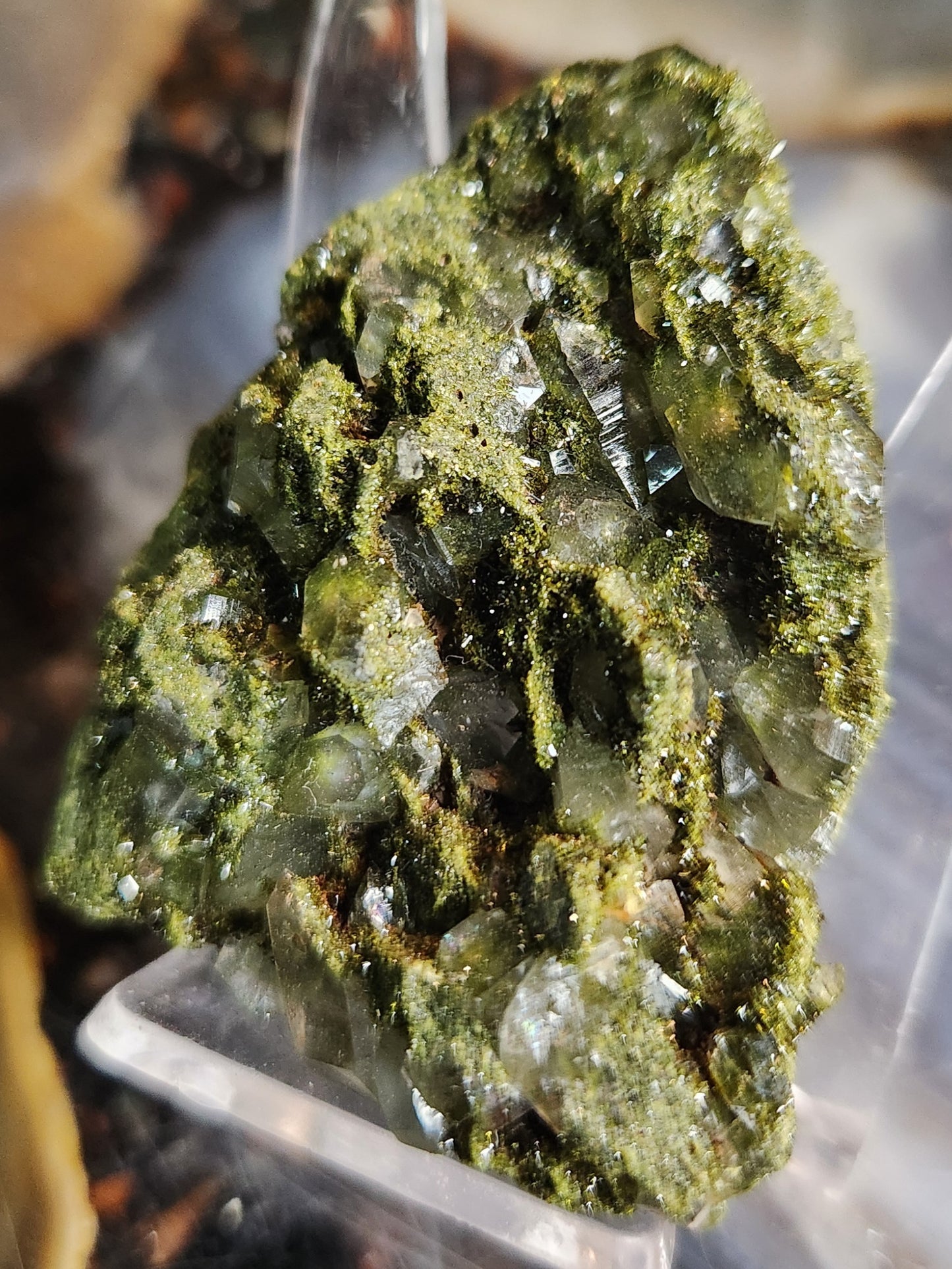 Forest Epidote with Druzy Quartz – Sparkling Green Growth Crystal | Collector Mineral | Grounding & Abundance Stone
