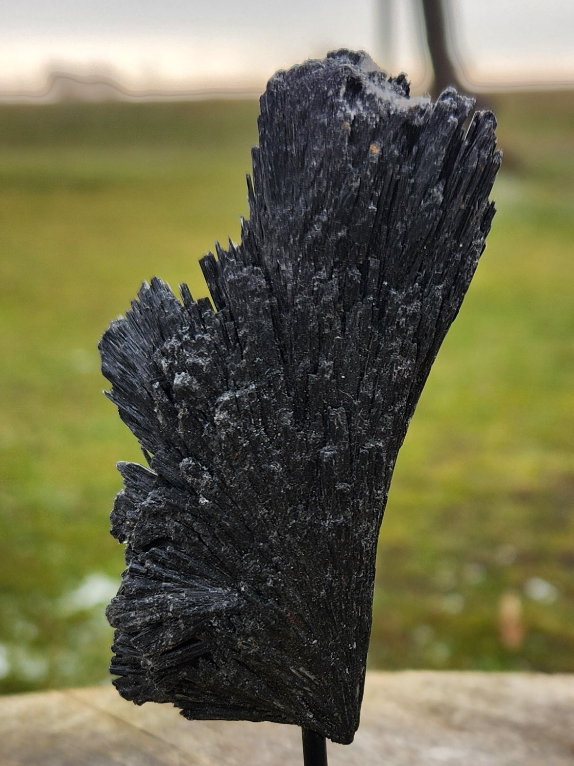 Black Kyanite Fan Crystal Cluster on Metal Stand – Natural Bladed Specimen for Protection, Cleansing & Home Décor