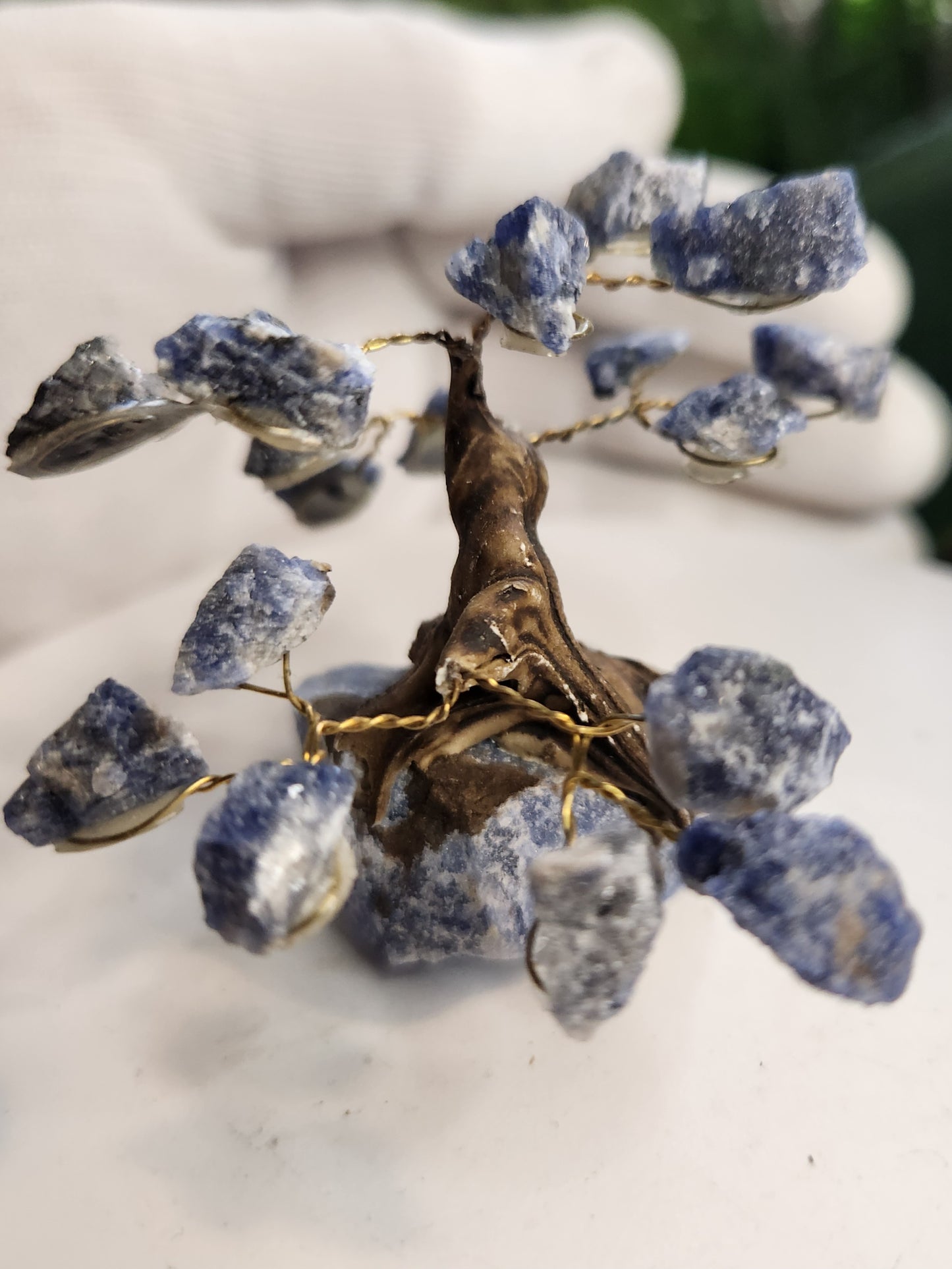 Handmade Sodalite Crystal Tree on Sodalite Base | Natural Blue Gemstone Tree | Clarity & Communication Crystal Decor