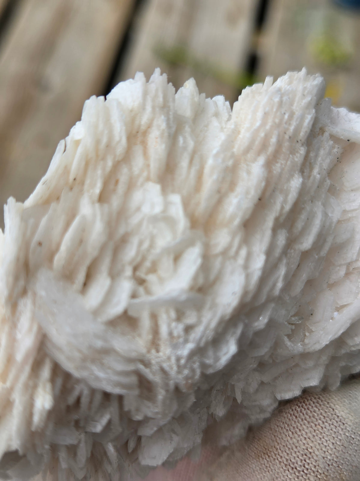 Angel Wing Calcite Crystal Cluster | White Bladed Calcite Mineral Specimen