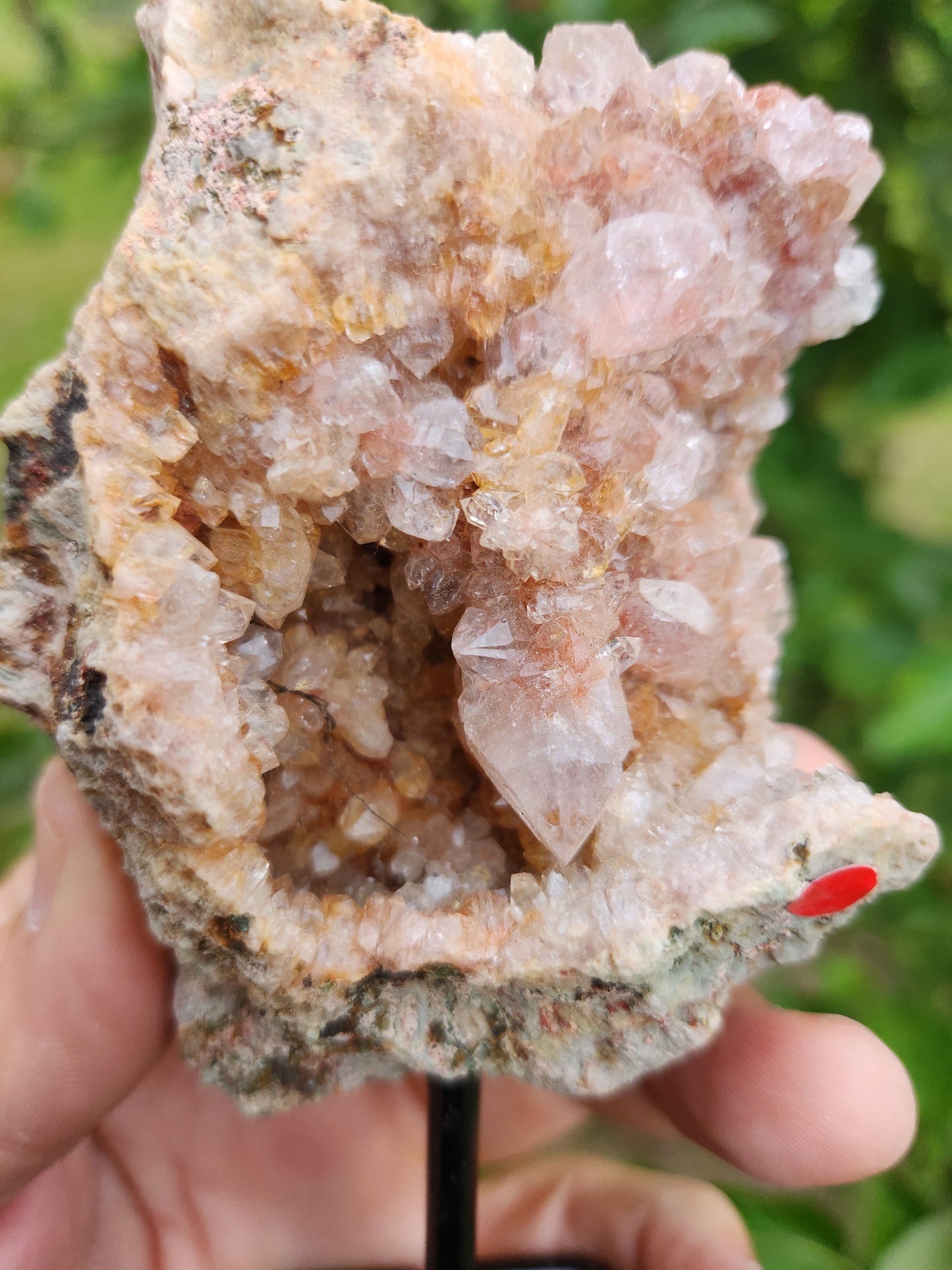 Pink Amethyst Crystal Geode on Stand - Gentle, Heart-Centered Energy - Emotional Healing and Spiritual Growth.
