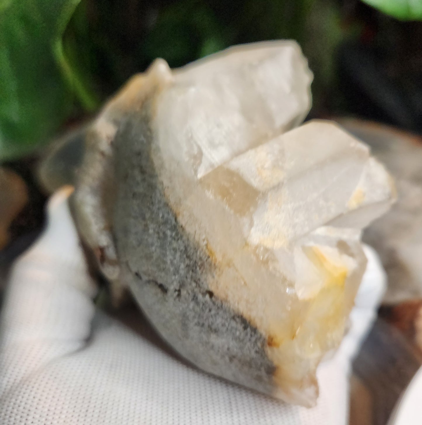 Stunning Hand-Carved Quartz Skull with Druzy & Natural Crystal Formations