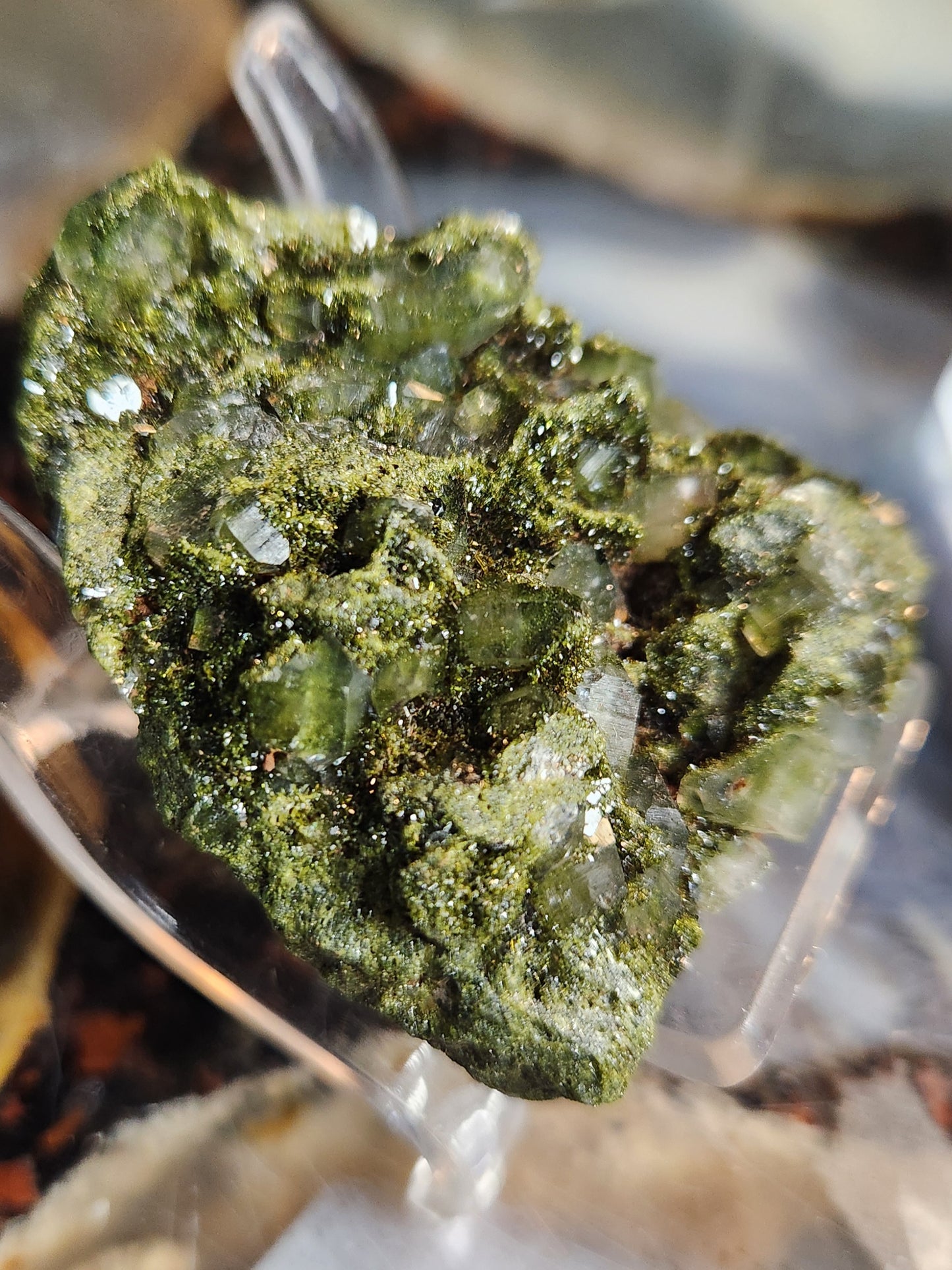 Forest Epidote with Druzy Quartz – Sparkling Green Growth Crystal | Collector Mineral | Grounding & Abundance Stone