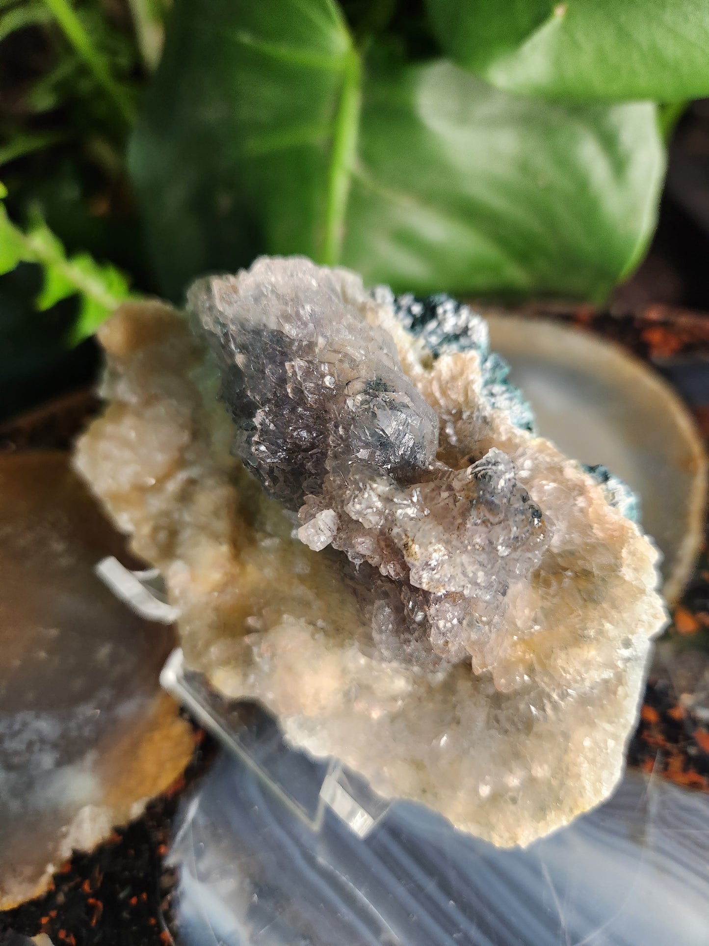 Brazil Zeolite Amethyst Flower Cluster • Lavender Crystal Rosette • Rare Brazilian Zeolite Formation • Cleansing & Healing Crystal
