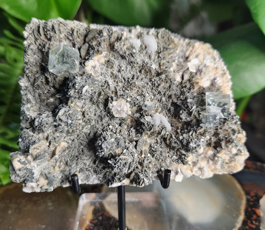 Natural Cubic Fluorite on Matrix – Sharp Green Fluorite Crystals with Textured Host Rock | Collector-Grade Mineral Specimen