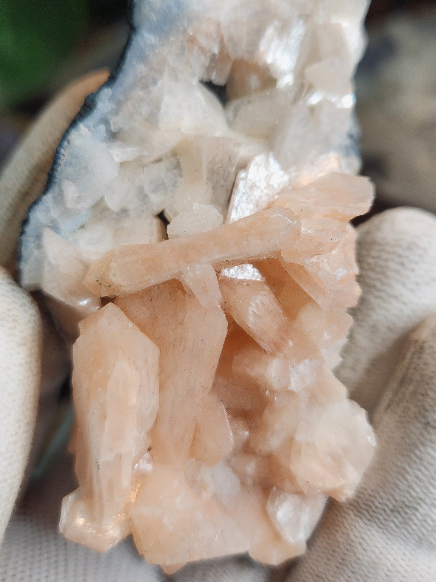 Gorgeous Peach Stilbite with Apophyllite on Matrix | Natural Zeolite Crystal Cluster | India