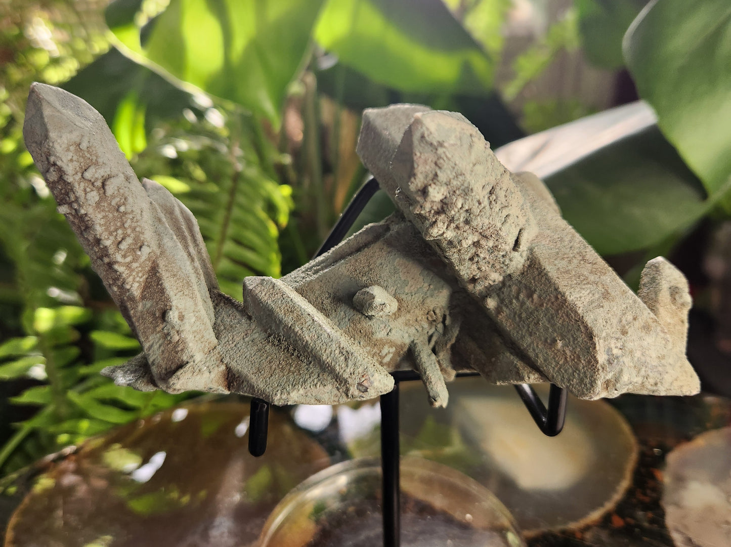 Chlorite-Coated Quartz Cluster • Rare Velvety Green Growth • Natural Formation