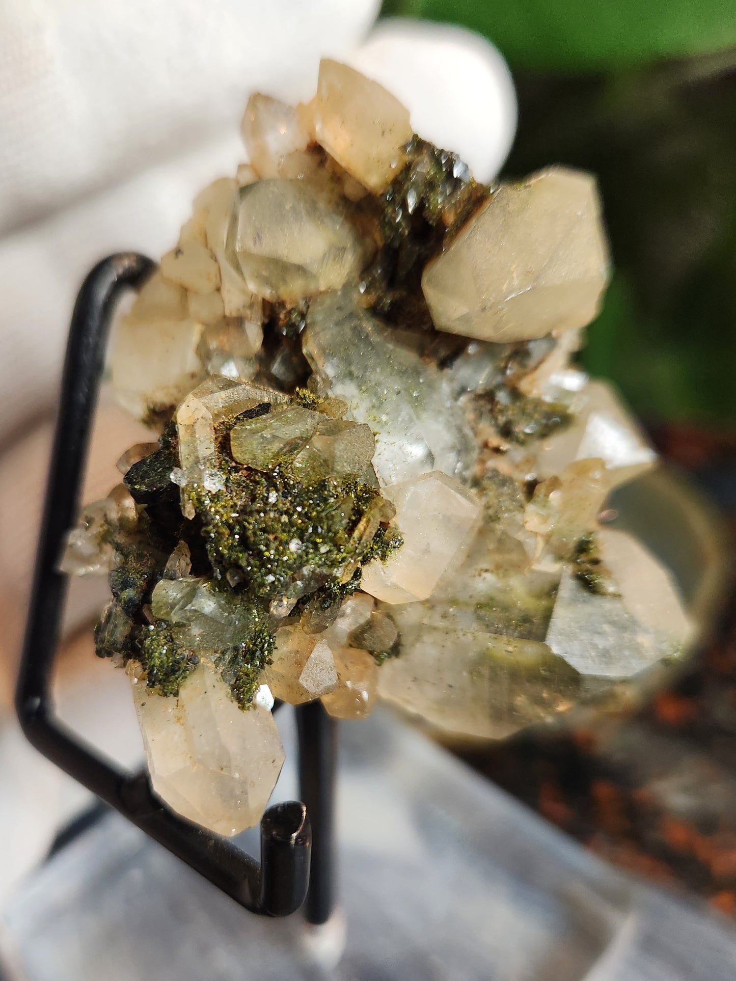 Forest Epidote with Druzy Quartz – Sparkling Green Growth Crystal | Collector Mineral | Grounding & Abundance Stone