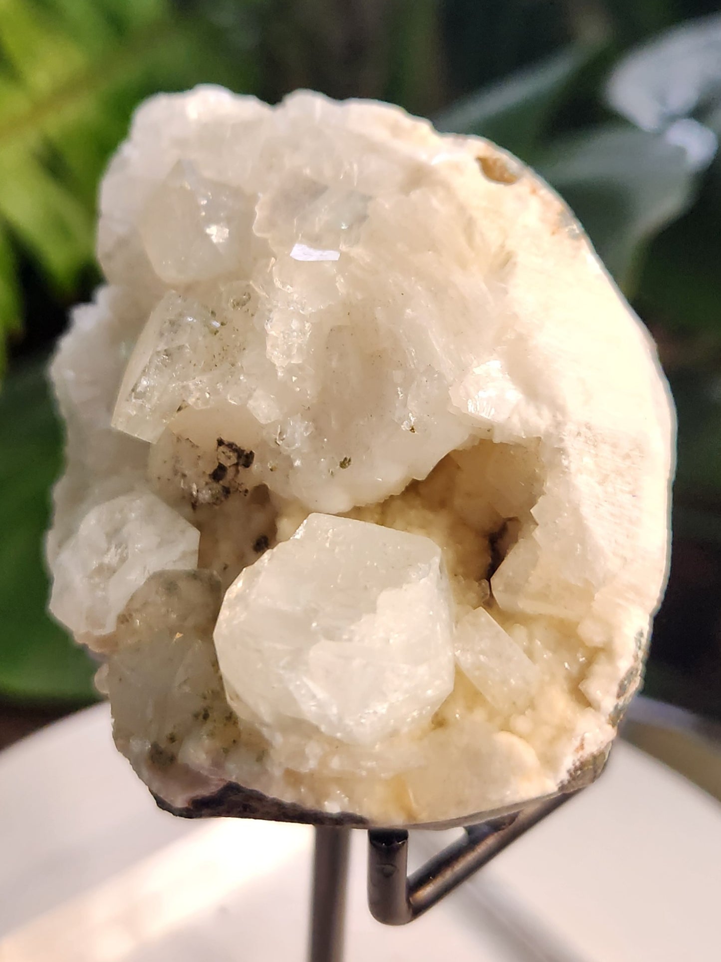 Stunning Natural Apophyllite Crystal on Stilbite – Cubic Apophyllite Zeolite Cluster from India