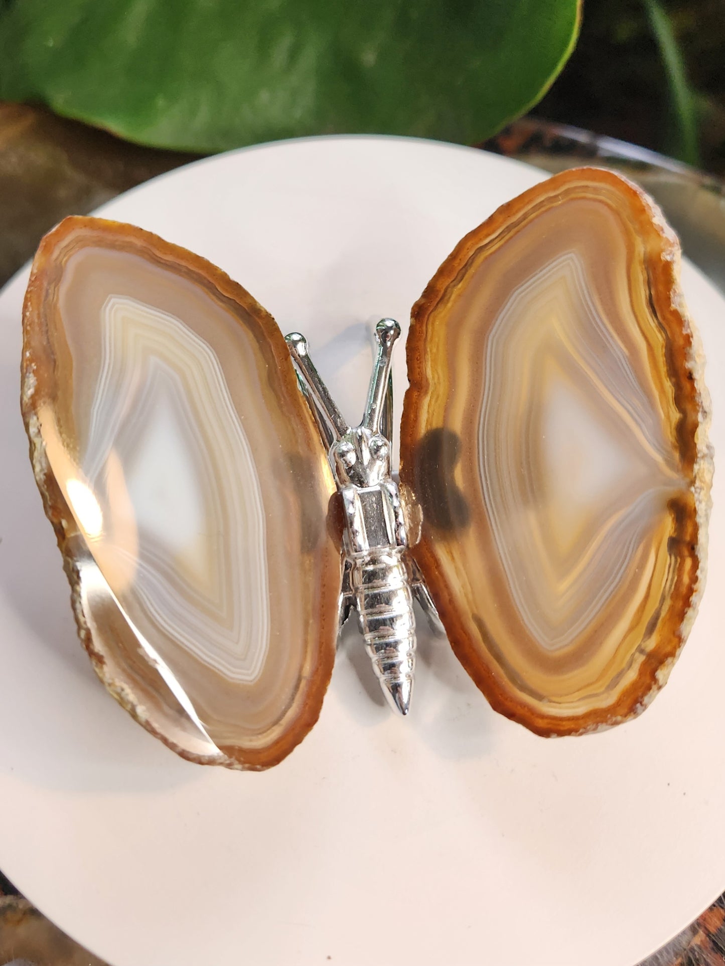 Natural Banded Agate Butterfly – Polished Agate Wings on Metal Body