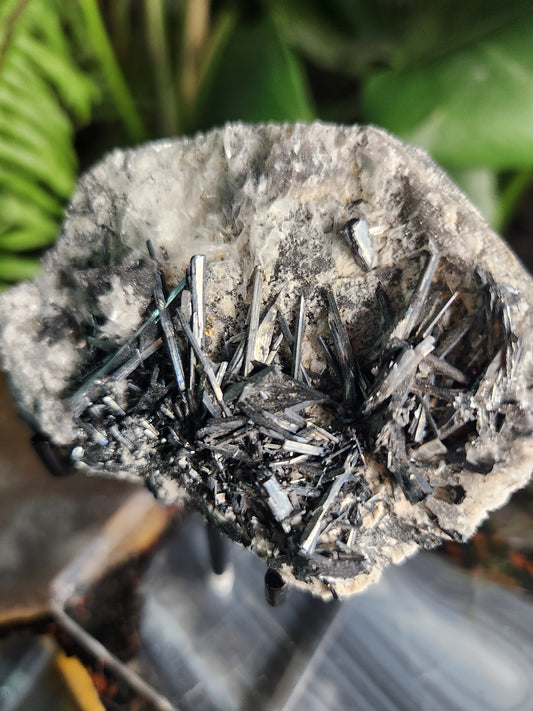 Gorgeous Raw Stibnite Crystal Cluster • Metallic Silver Needle Blades • Rare Collector Mineral Specimen • High-Shine Statement Piece