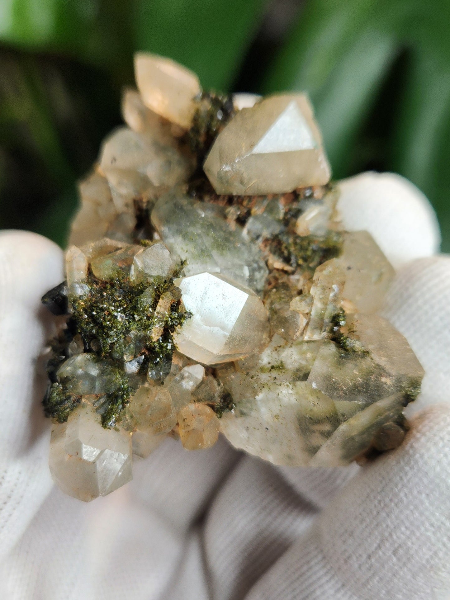 Forest Epidote with Druzy Quartz – Sparkling Green Growth Crystal | Collector Mineral | Grounding & Abundance Stone