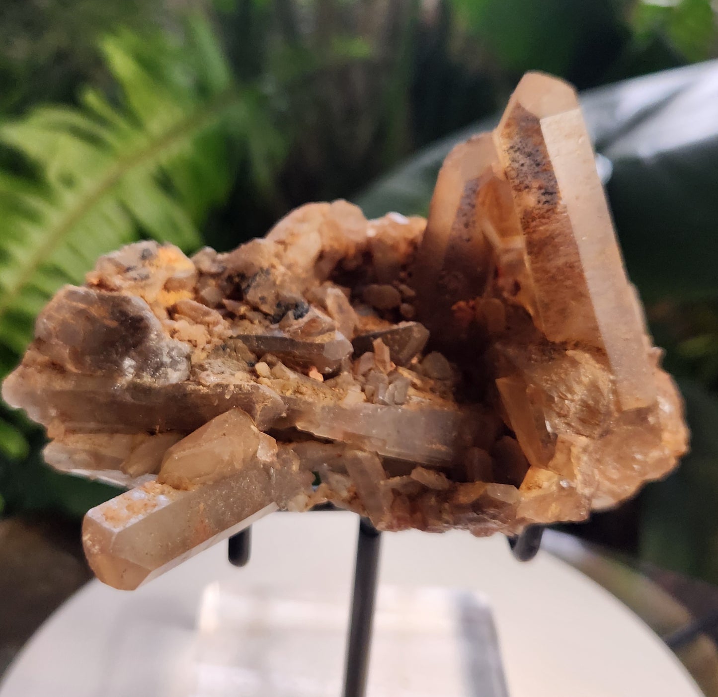 Natural Hematoid Smoky Quartz Crystal Cluster – Smoky Quartz with Hematite Inclusions