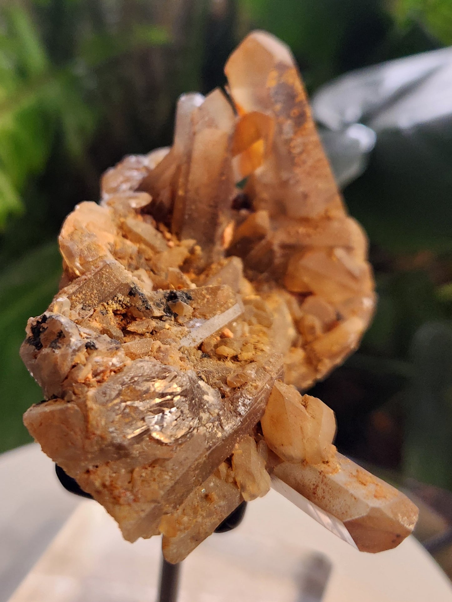 Natural Hematoid Smoky Quartz Crystal Cluster – Smoky Quartz with Hematite Inclusions