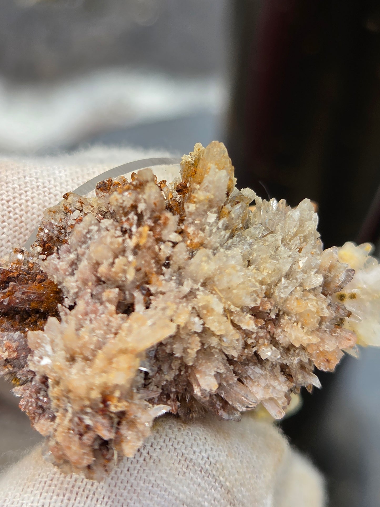 Dogtooth Calcite & Quartz Crystal Cluster | Natural Calcite Crystals