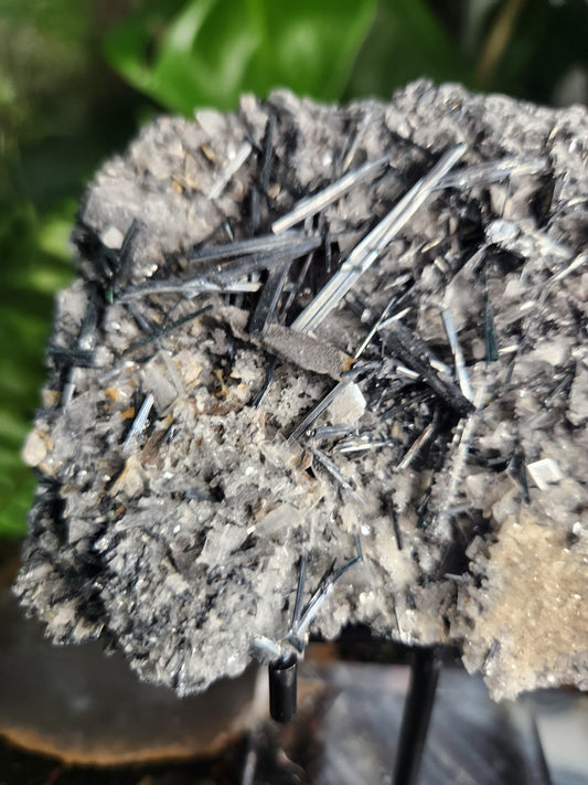 Gorgeous Raw Stibnite Crystal Cluster • Metallic Silver Needle Blades • Rare Collector Mineral Specimen • High-Shine Statement Piece