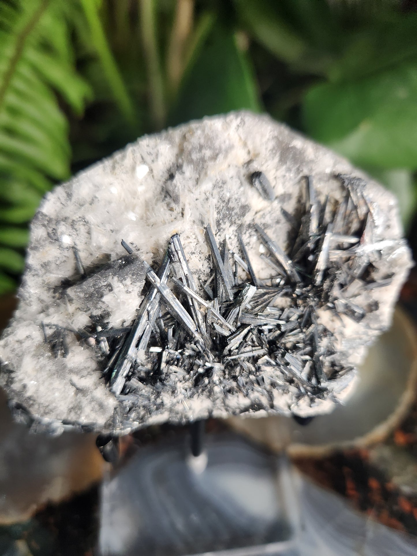 Gorgeous Raw Stibnite Crystal Cluster • Metallic Silver Needle Blades • Rare Collector Mineral Specimen • High-Shine Statement Piece