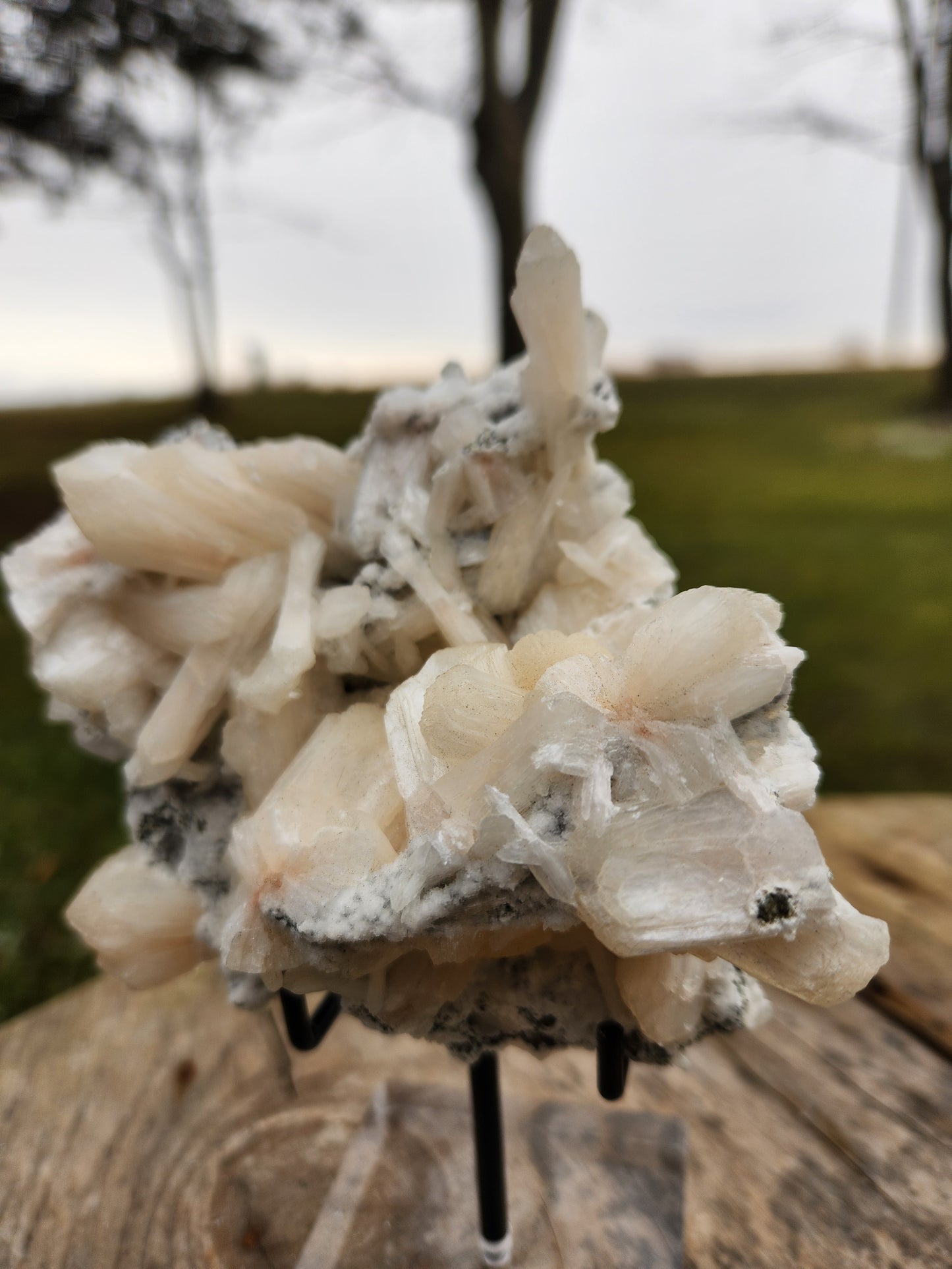 Large Peach-White Stilbite Cluster – Premium Indian Zeolite – Radiating Bladed Crystal Formation