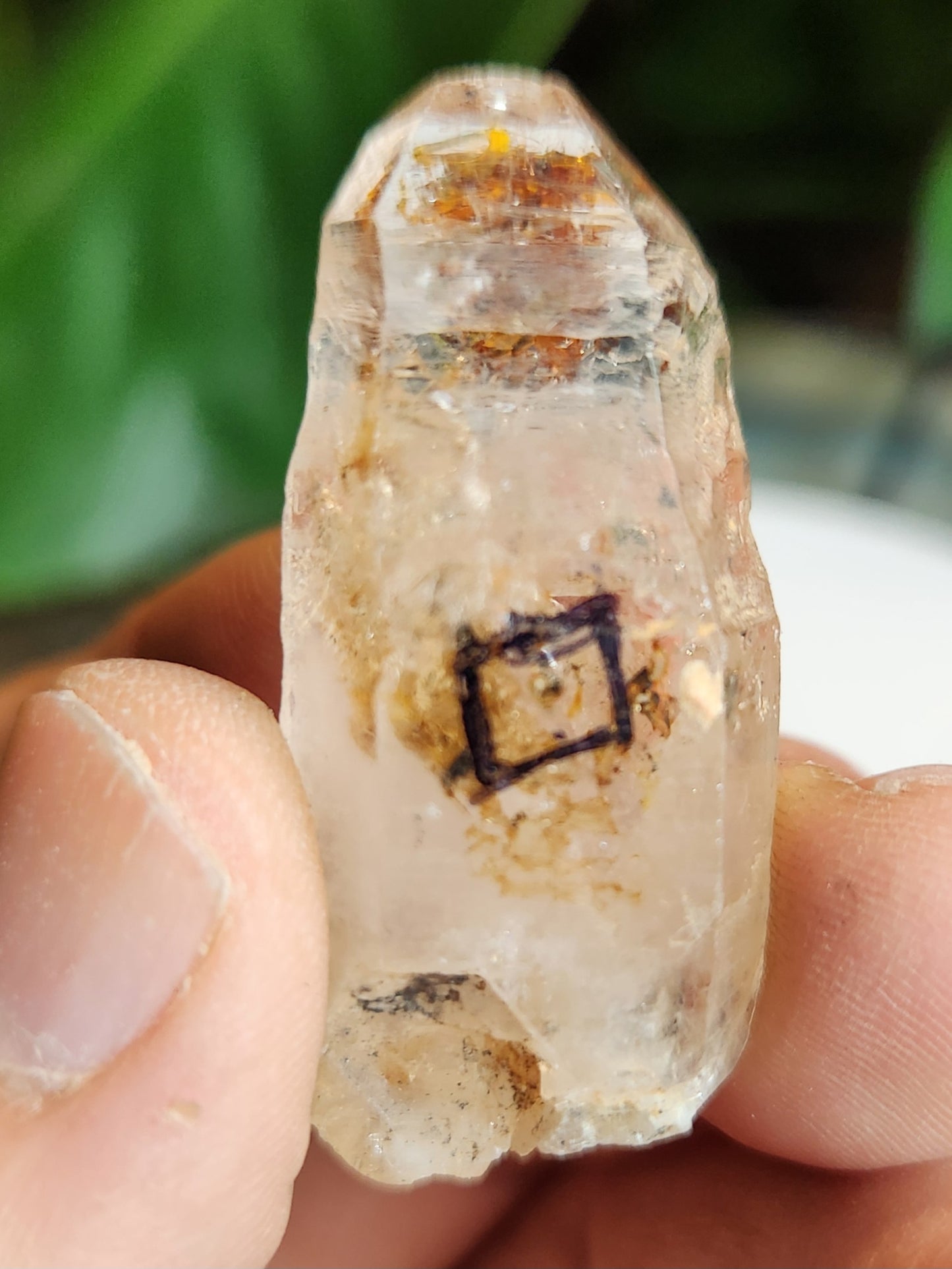 Petroleum Quartz Crystal with Enhydro – Intense UV Reactive Specimen | Collector Mineral & Energy Stone