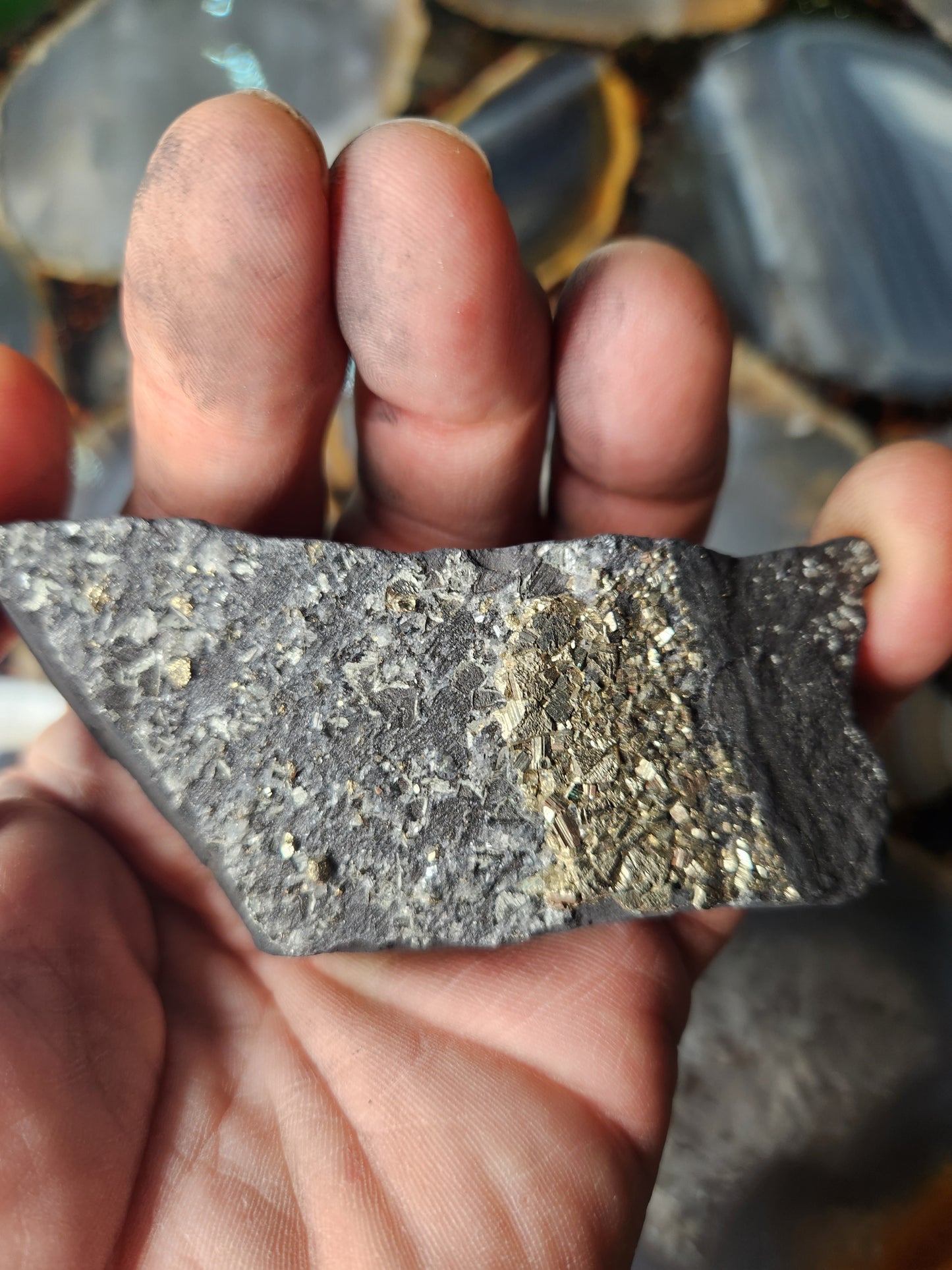 Raw Shungite with Natural Pyrite Inclusions – Russia | Elite Protection Stone • EMF Shielding • Collector Mineral Specimen