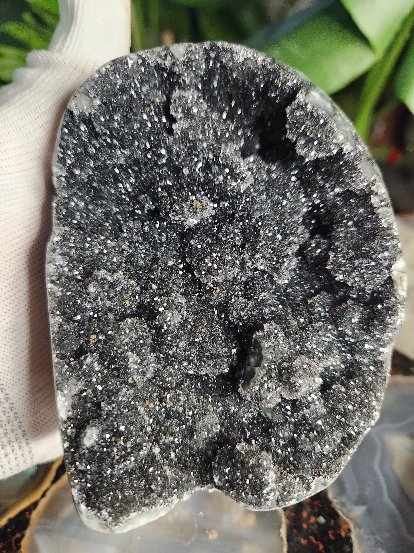 Large Druzy Black Amethyst Standing Freeform • Natural Dark Amethyst Cluster from Brazil • Sparkling Druzy Display Piece • Protection & Cleansing Crystal