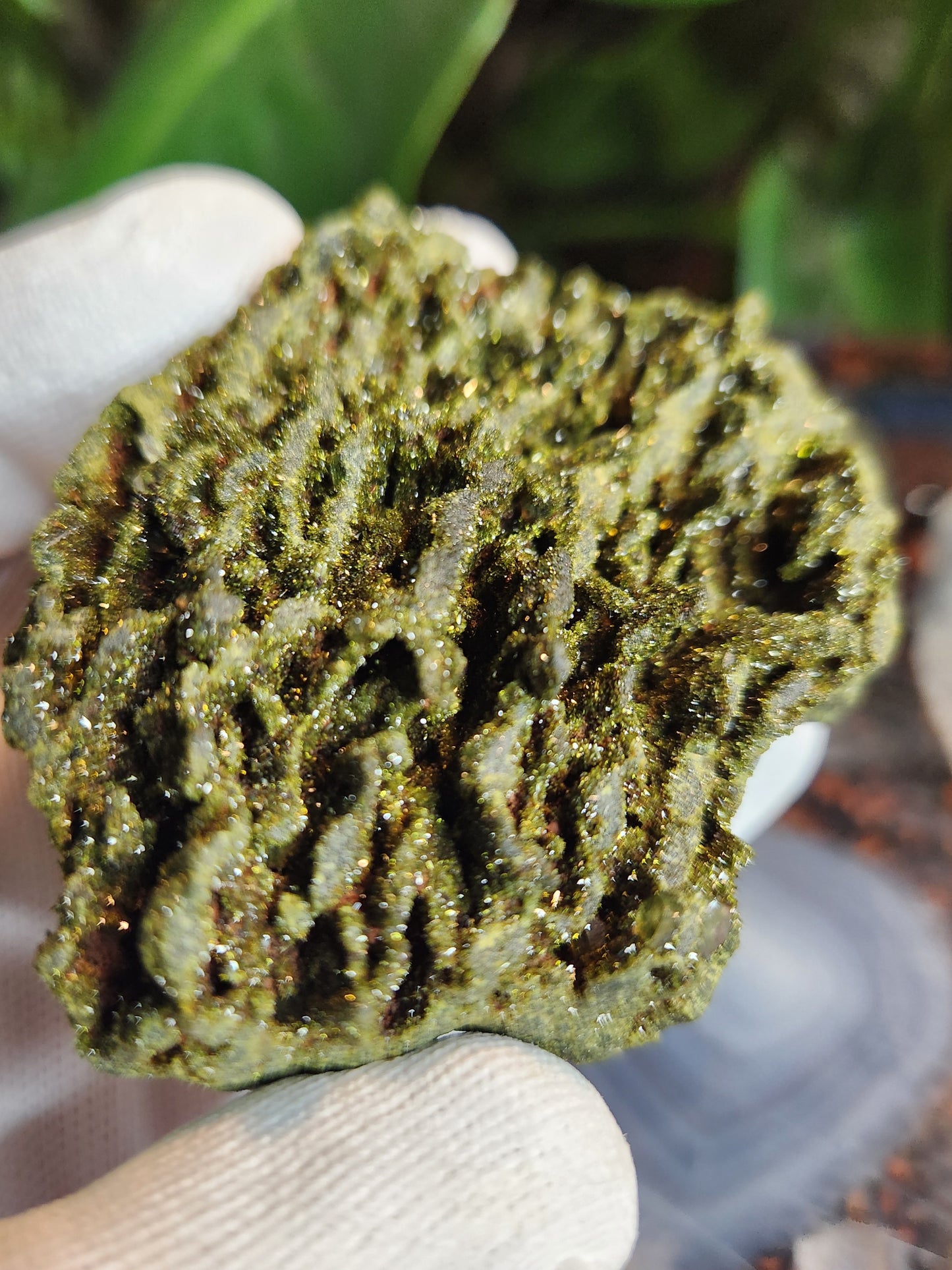 Rare Forest Epidote with Druzy Quartz – Sparkling Green Growth Crystal | Collector Mineral | Grounding & Abundance Stone