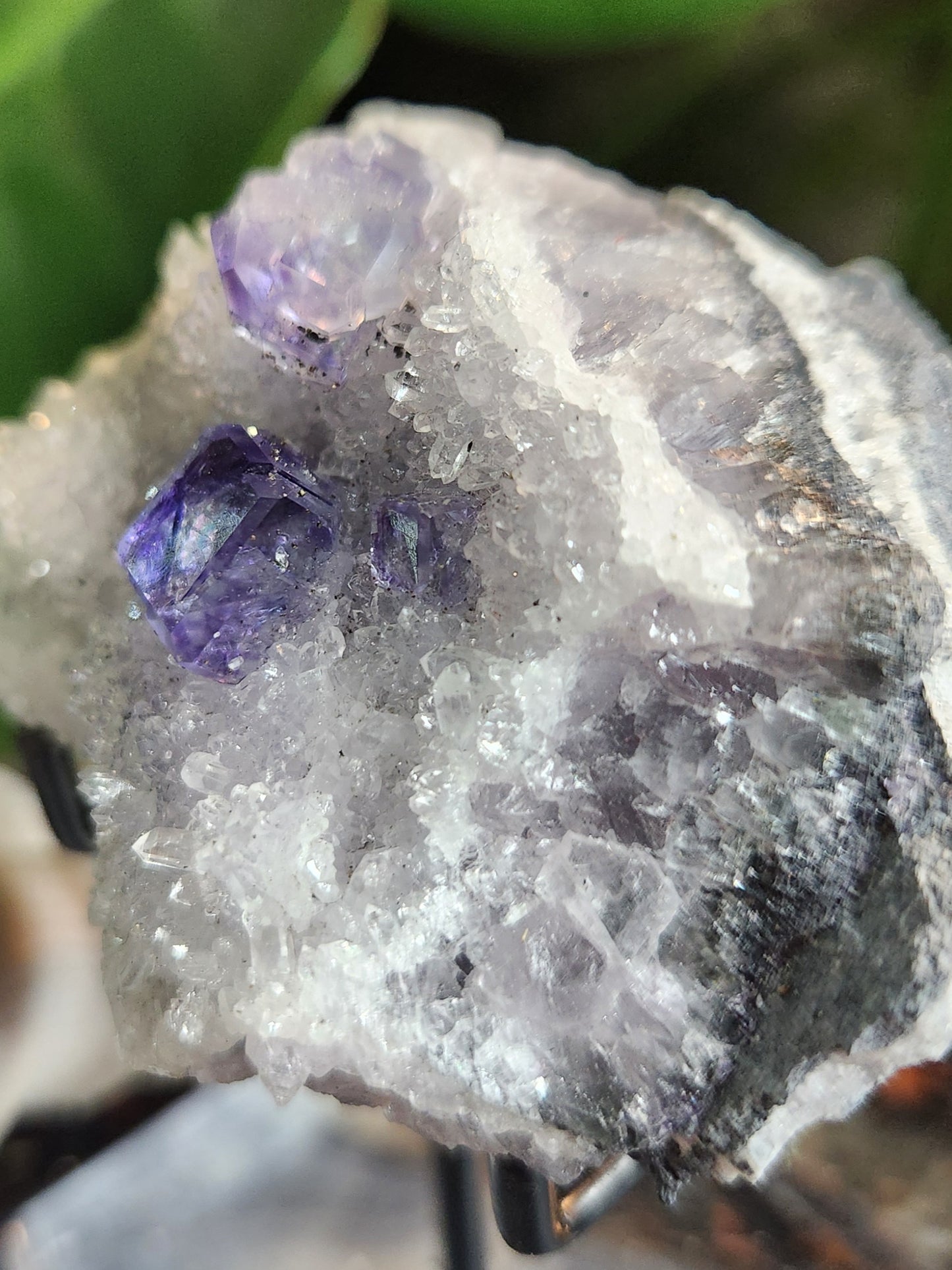 Purple Cubic Fluorite on Quartz Matrix | Sharp Fluorite Cube Collector Specimen