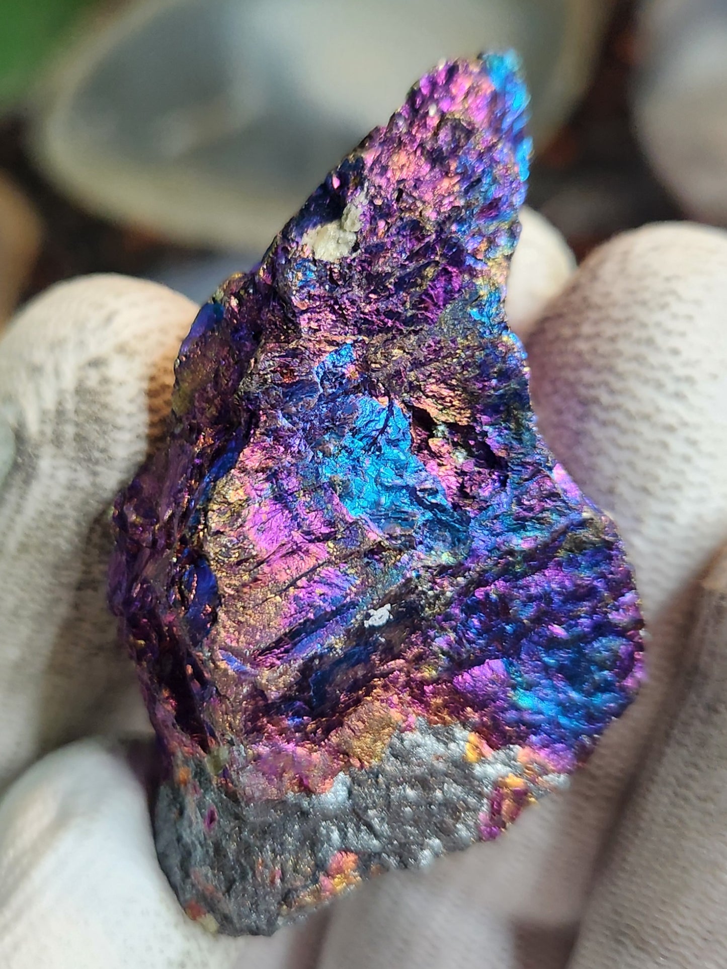 Natural Peacock Ore (Bornite & Chalcopyrite) Iridescent Crystal | Vibrant Rainbow Mineral Specimen