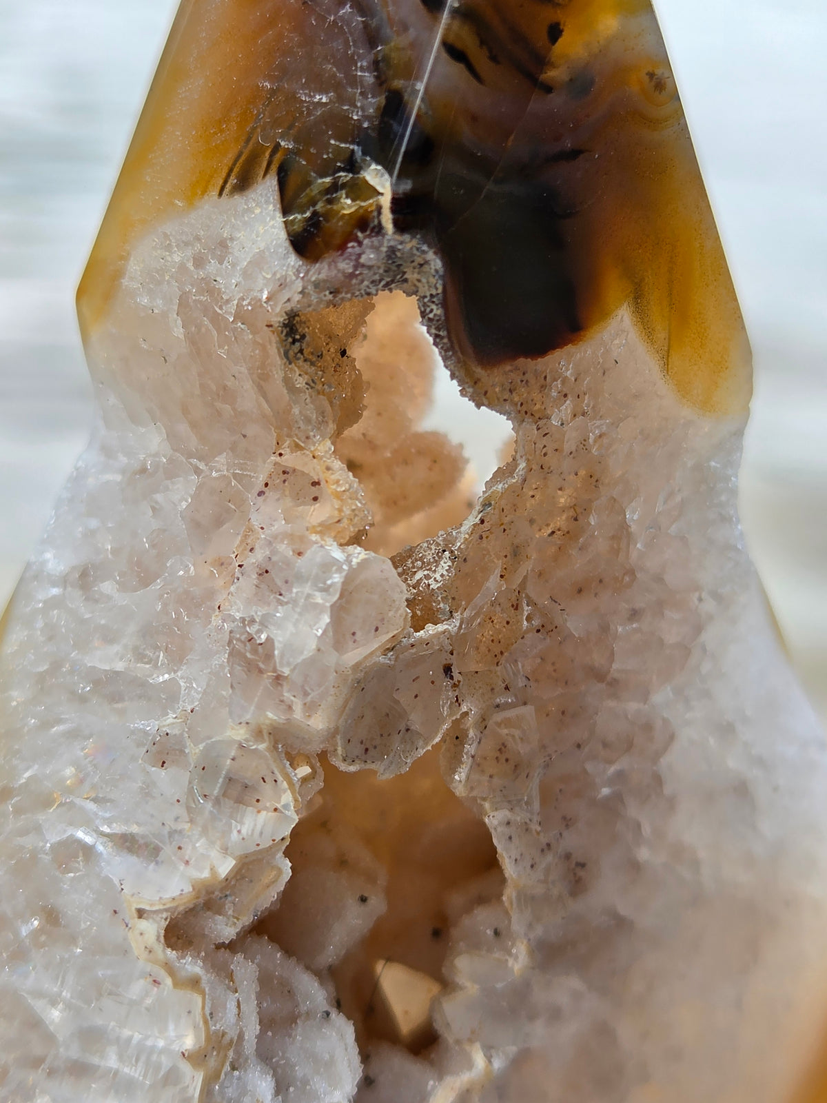 Druzy Agate Tree | Polished Agate Crystal with Druzy Pocket